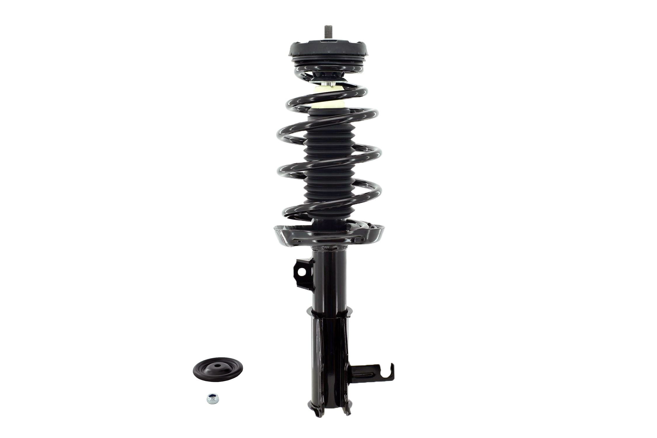 Suspension Strut and Coil Spring Assembly