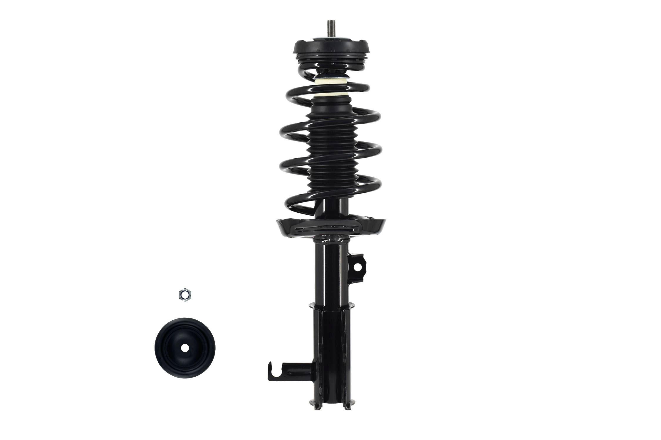 Suspension Strut and Coil Spring Assembly