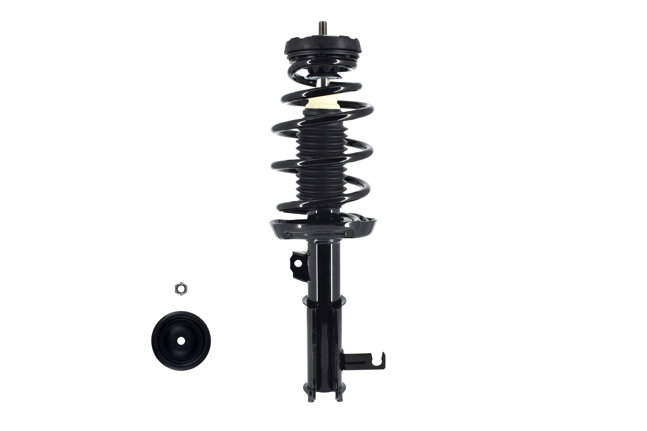 Suspension Strut and Coil Spring Assembly