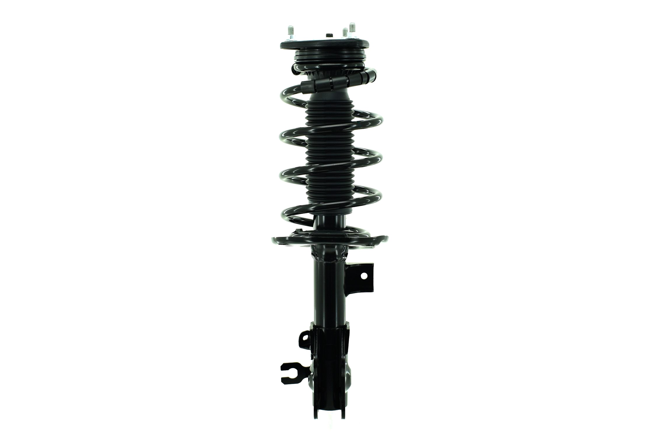 Suspension Strut and Coil Spring Assembly