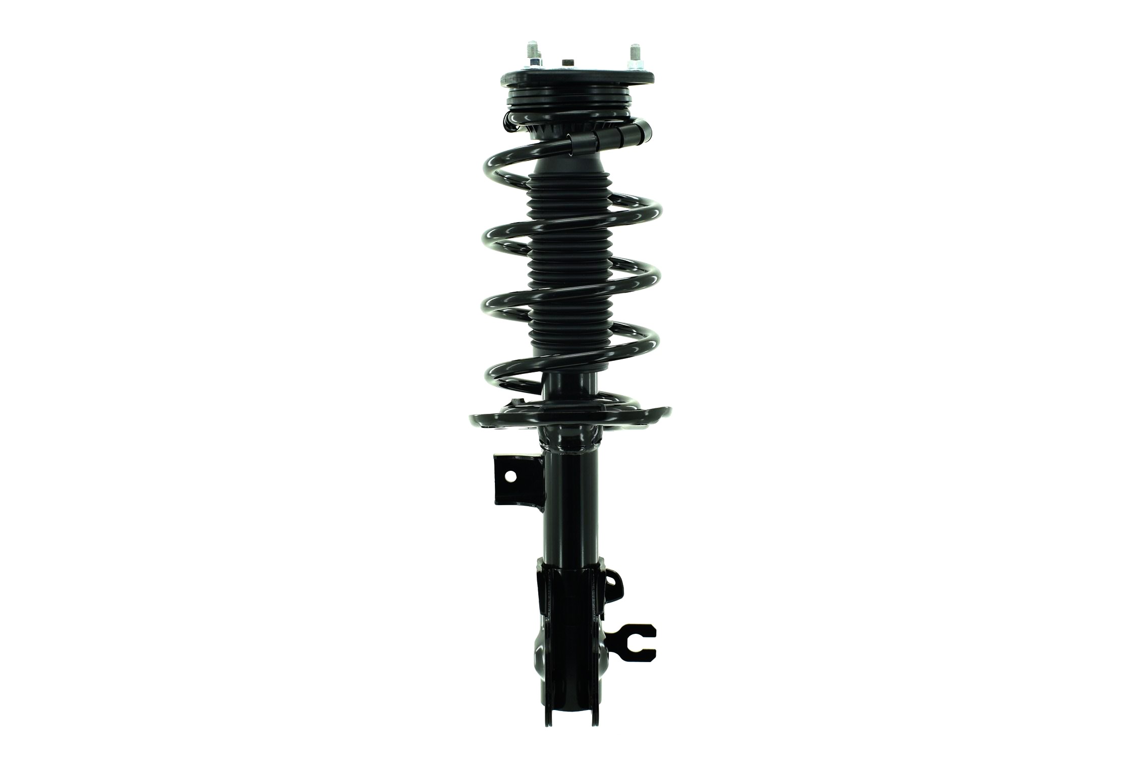 Suspension Strut and Coil Spring Assembly
