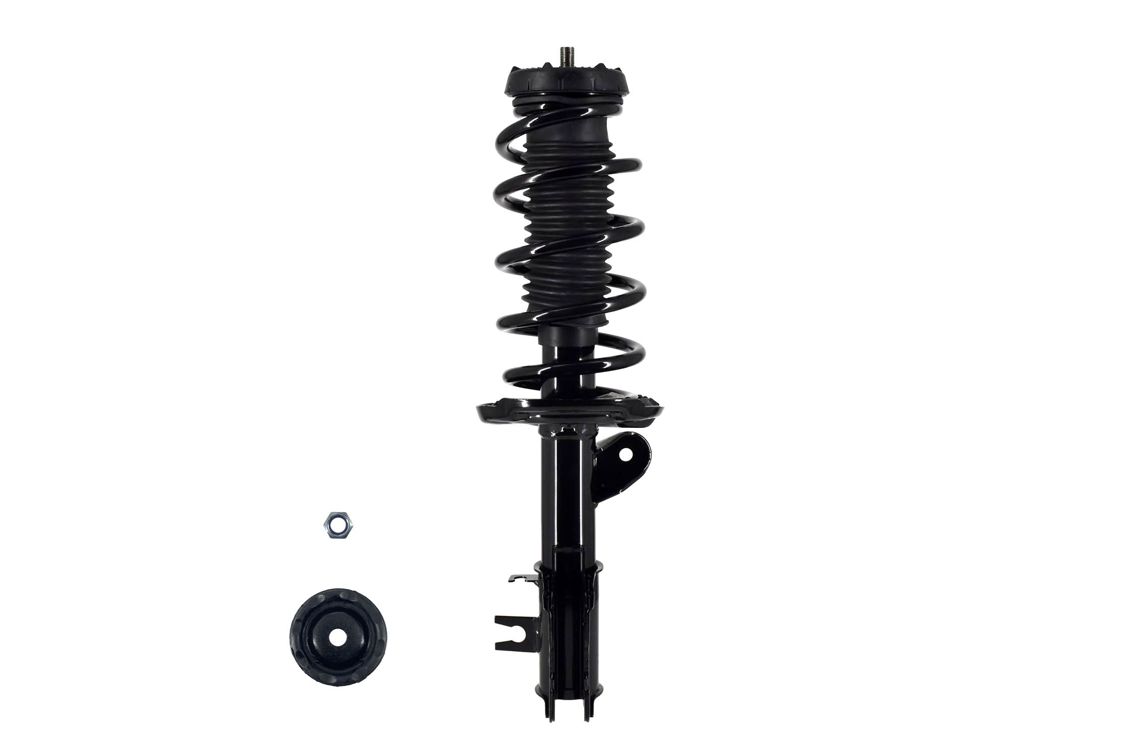 Suspension Strut and Coil Spring Assembly