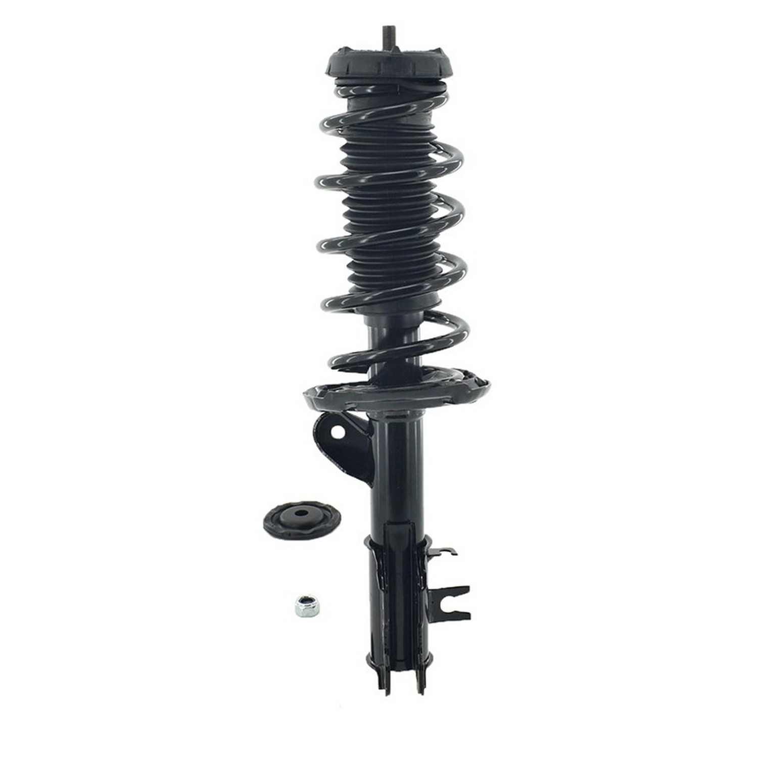 Suspension Strut and Coil Spring Assembly