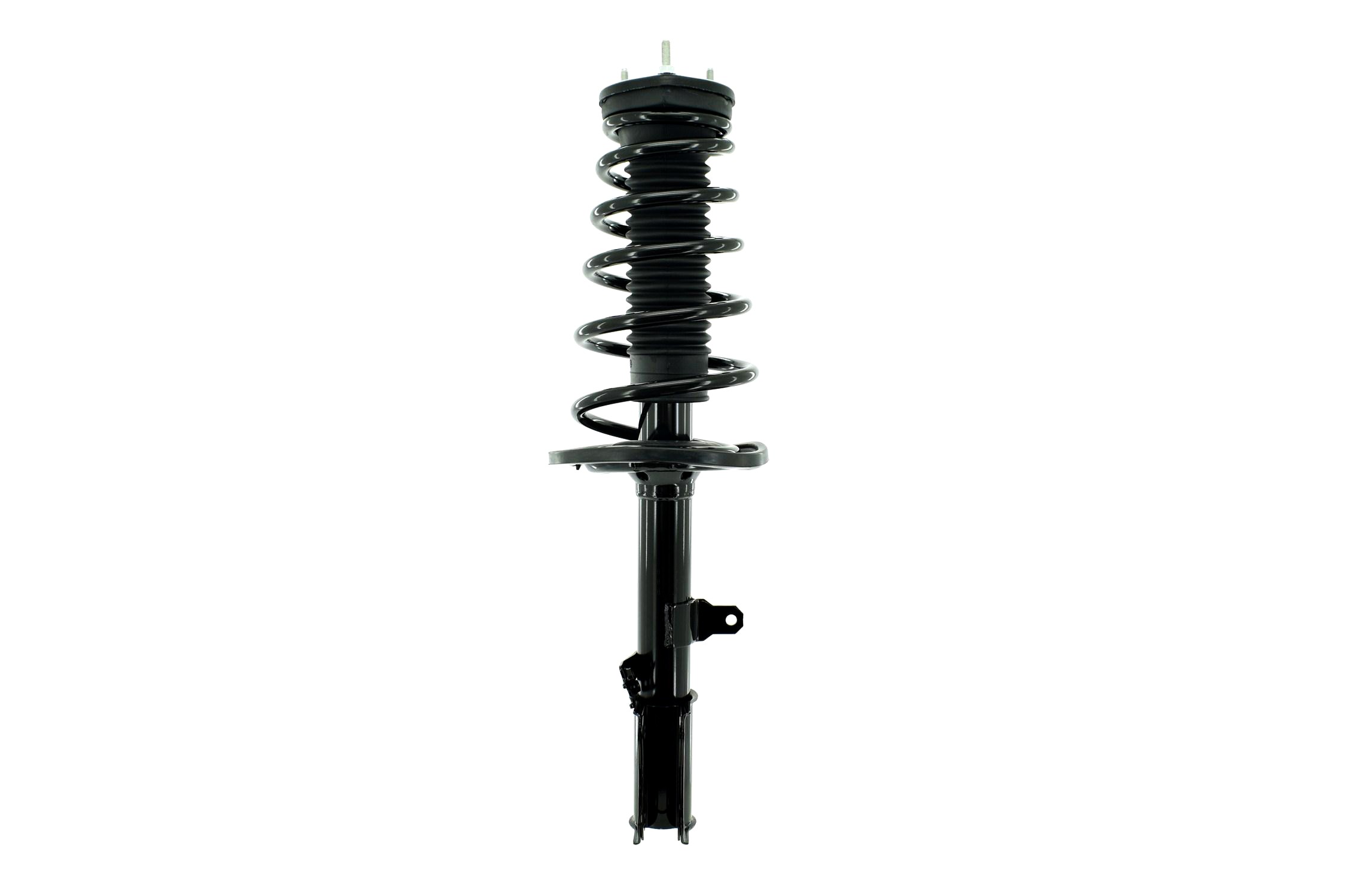 Suspension Strut and Coil Spring Assembly