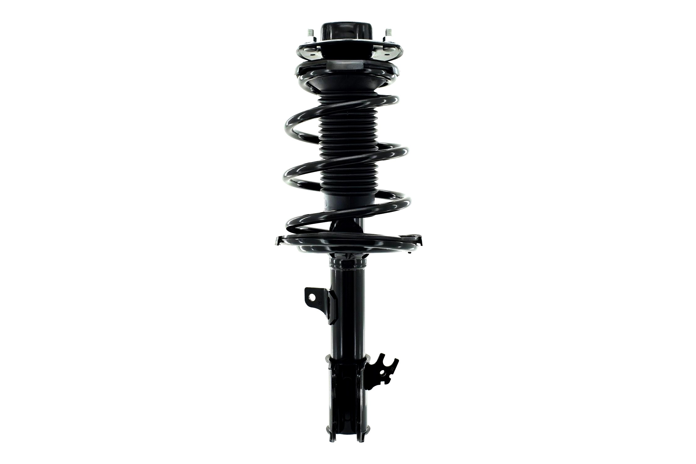 Suspension Strut and Coil Spring Assembly