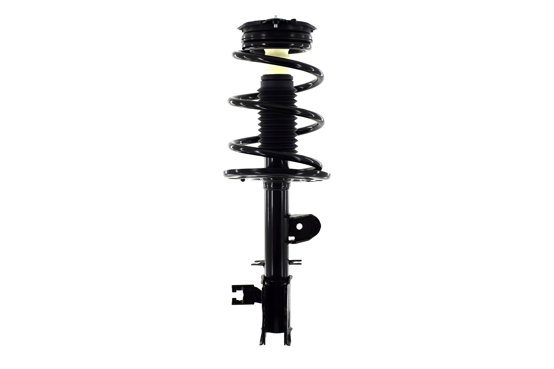 Suspension Strut and Coil Spring Assembly