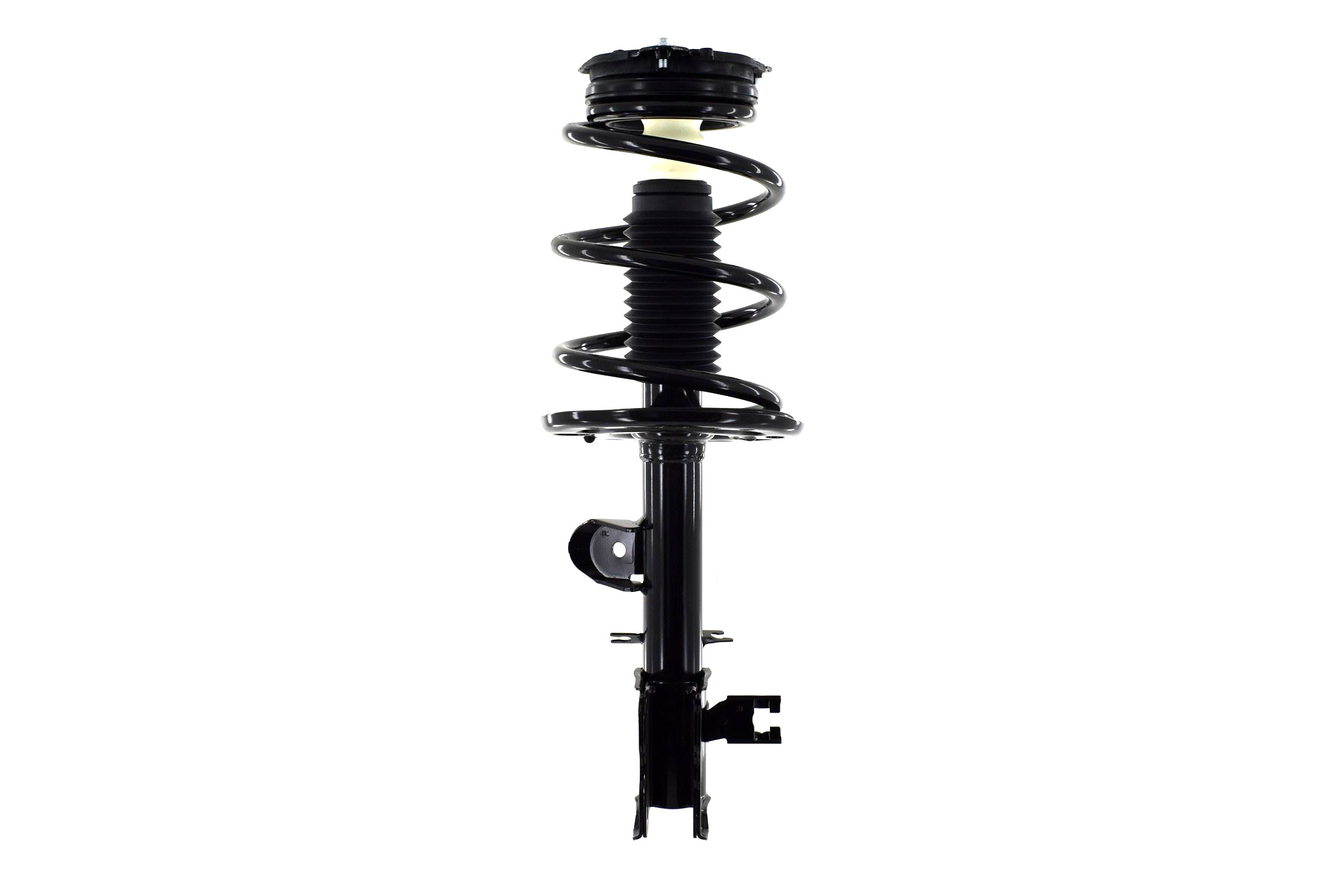 Suspension Strut and Coil Spring Assembly