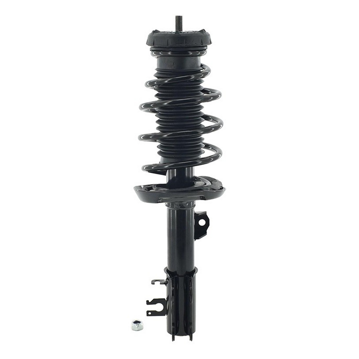 Suspension Strut and Coil Spring Assembly