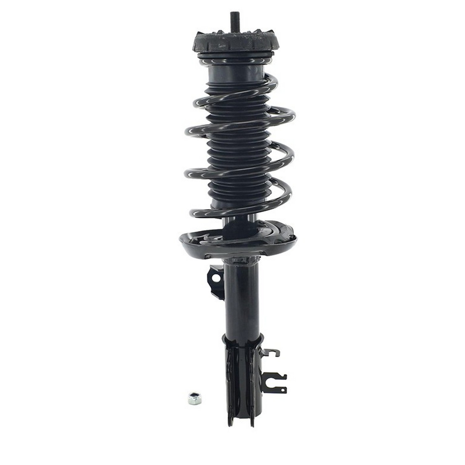 Suspension Strut and Coil Spring Assembly
