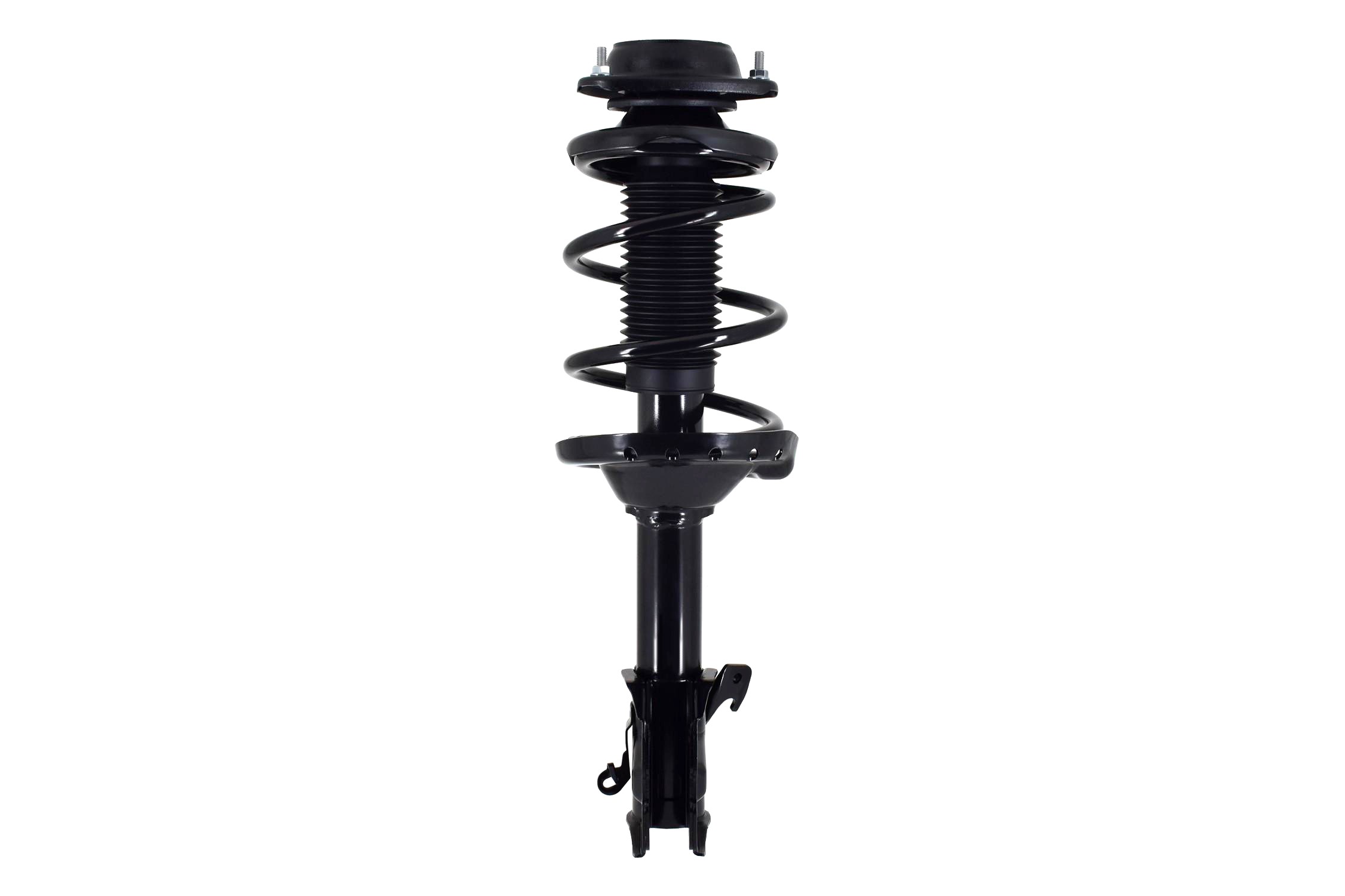 Suspension Strut and Coil Spring Assembly