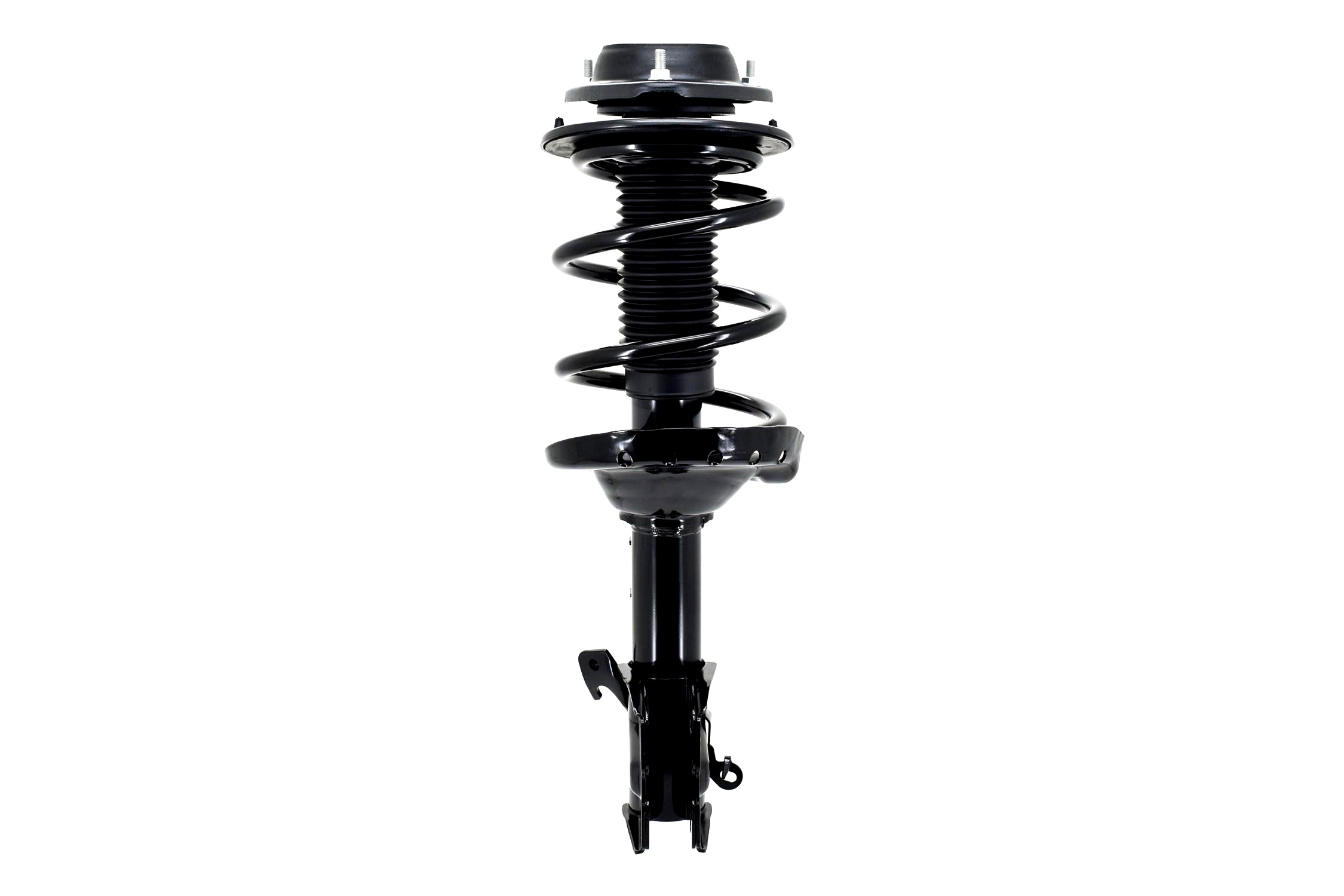 Suspension Strut and Coil Spring Assembly