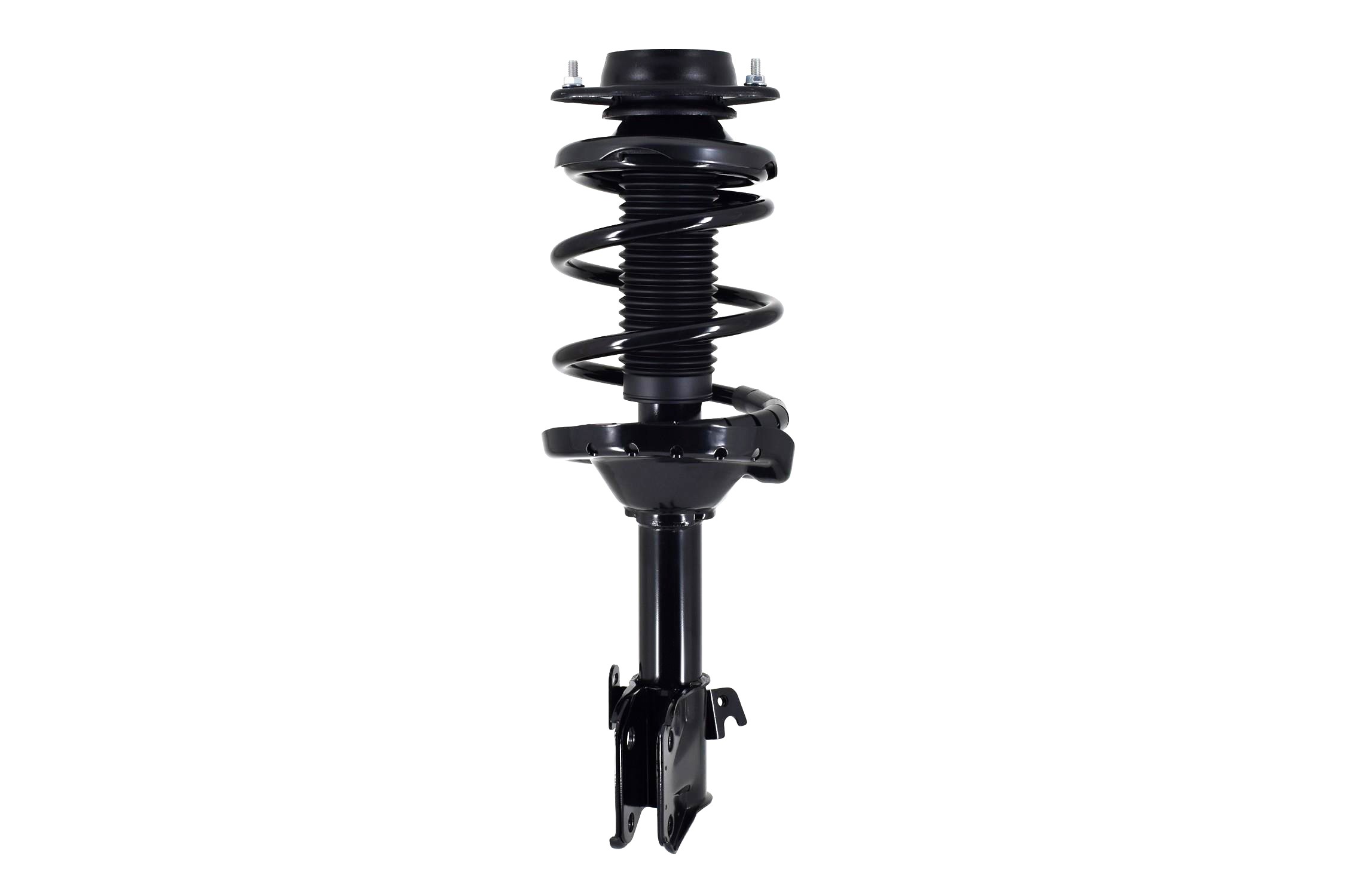 Suspension Strut and Coil Spring Assembly