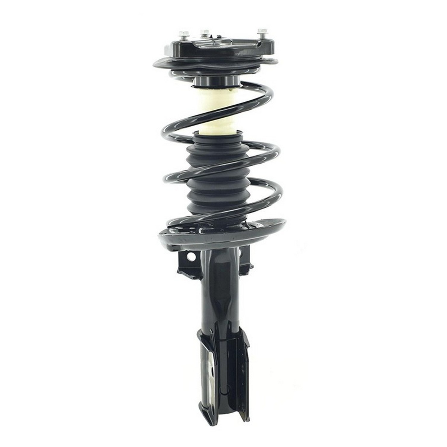 Suspension Strut and Coil Spring Assembly