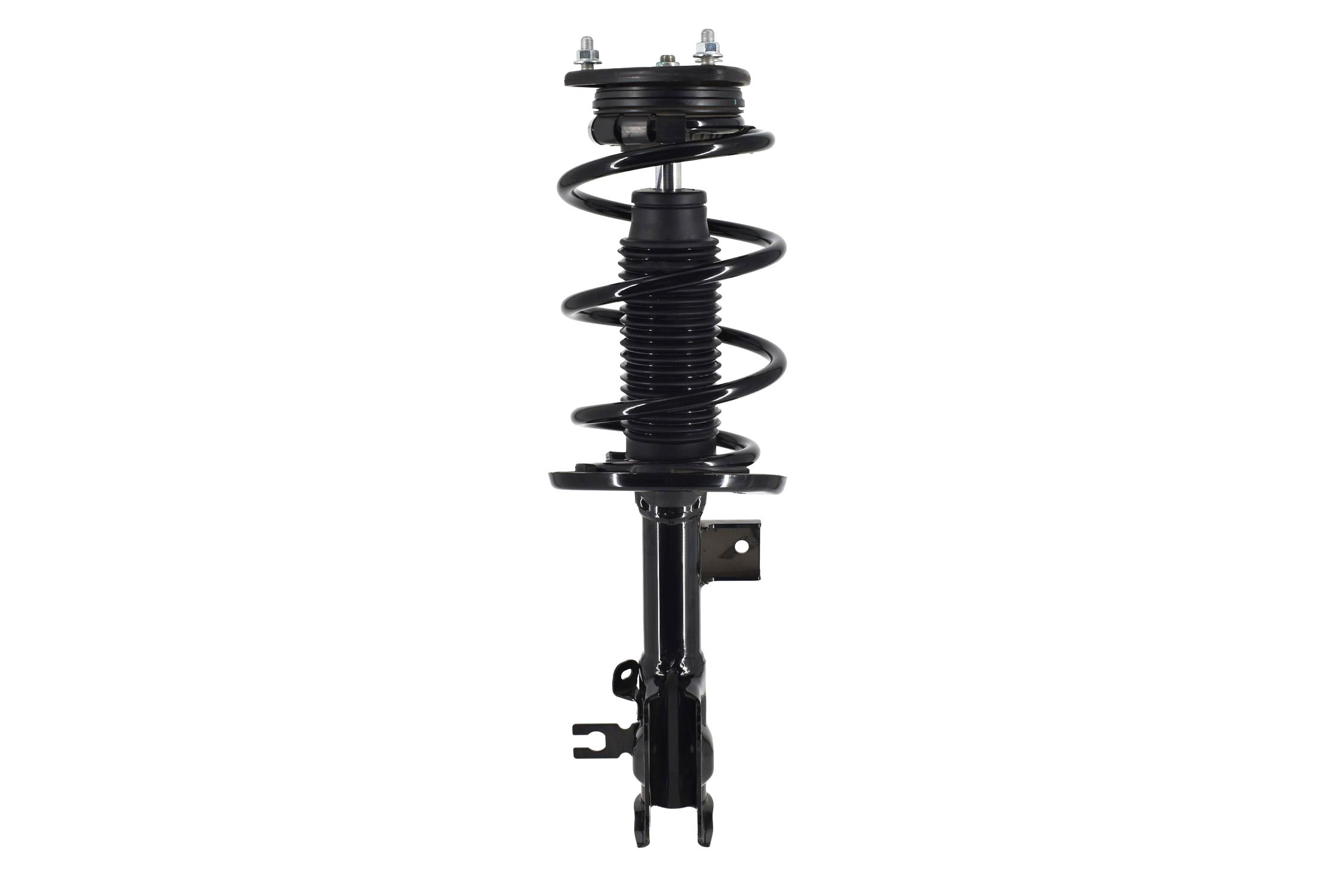 Suspension Strut and Coil Spring Assembly