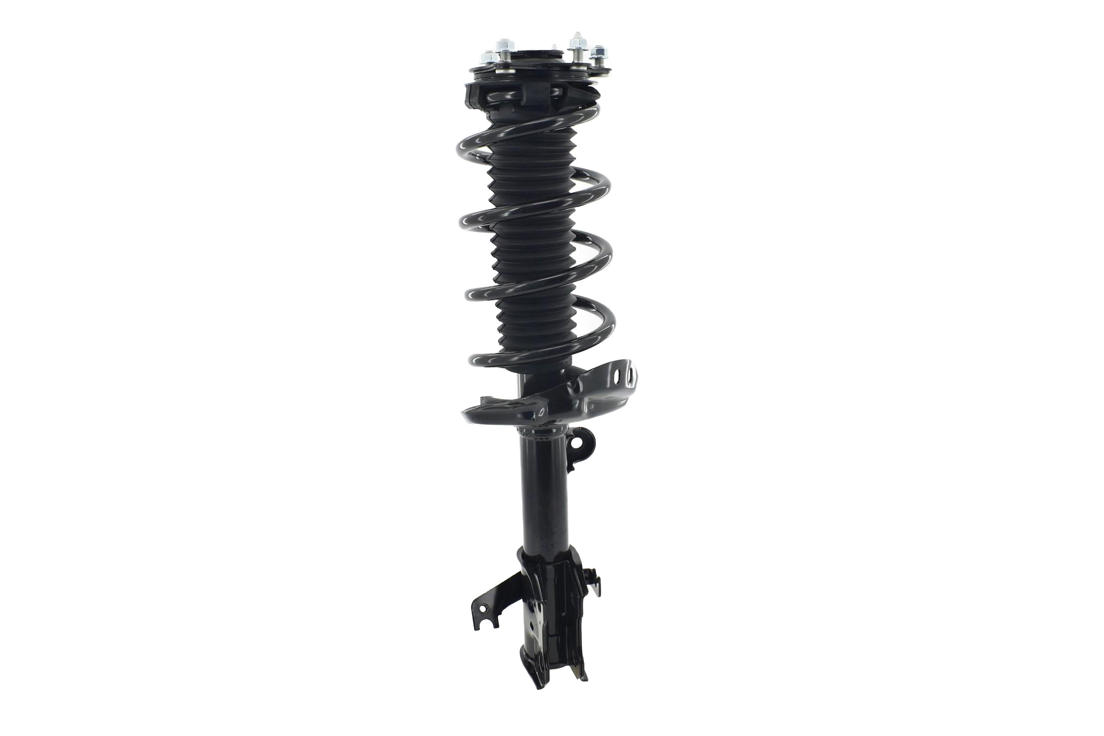 Suspension Strut and Coil Spring Assembly