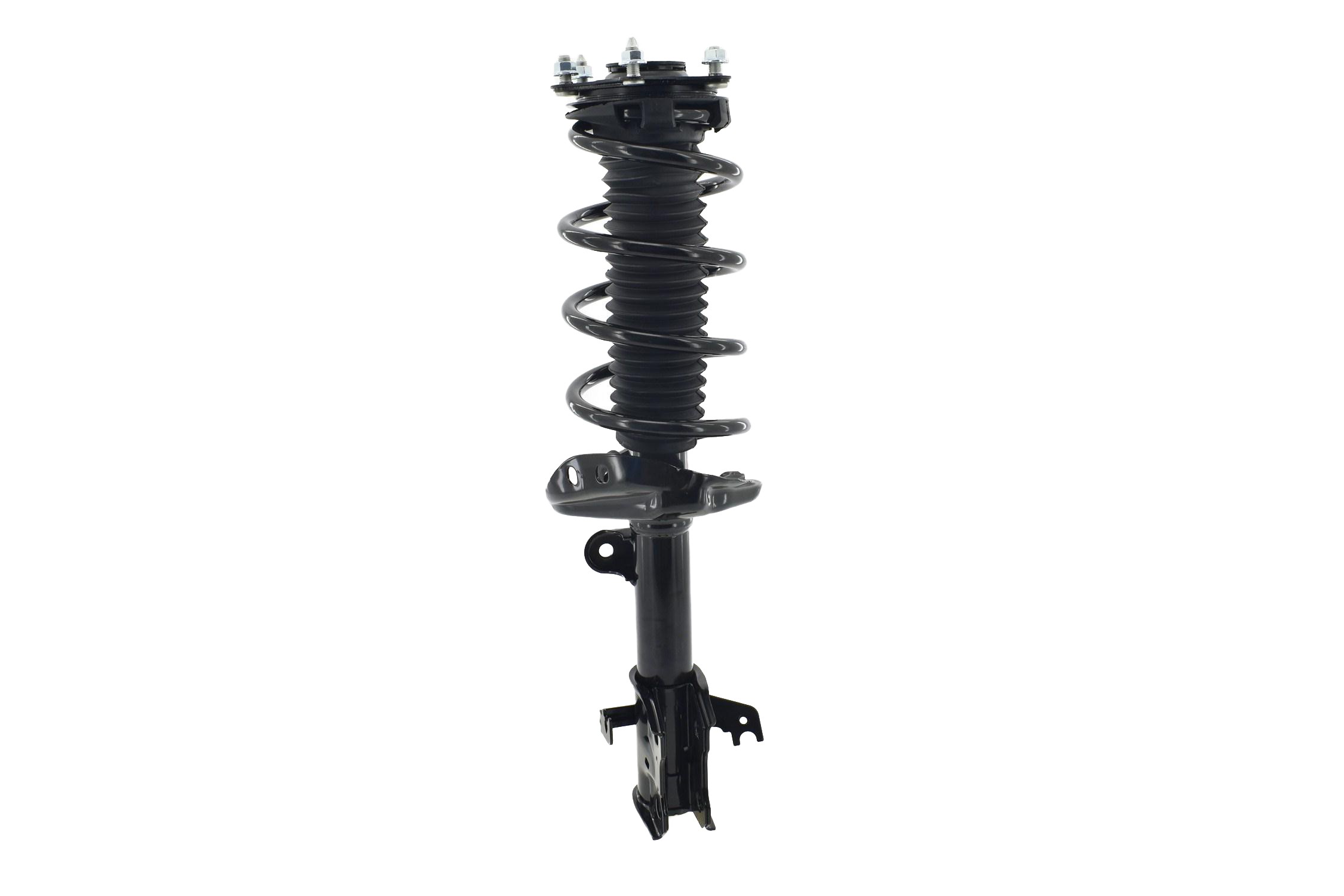 Suspension Strut and Coil Spring Assembly