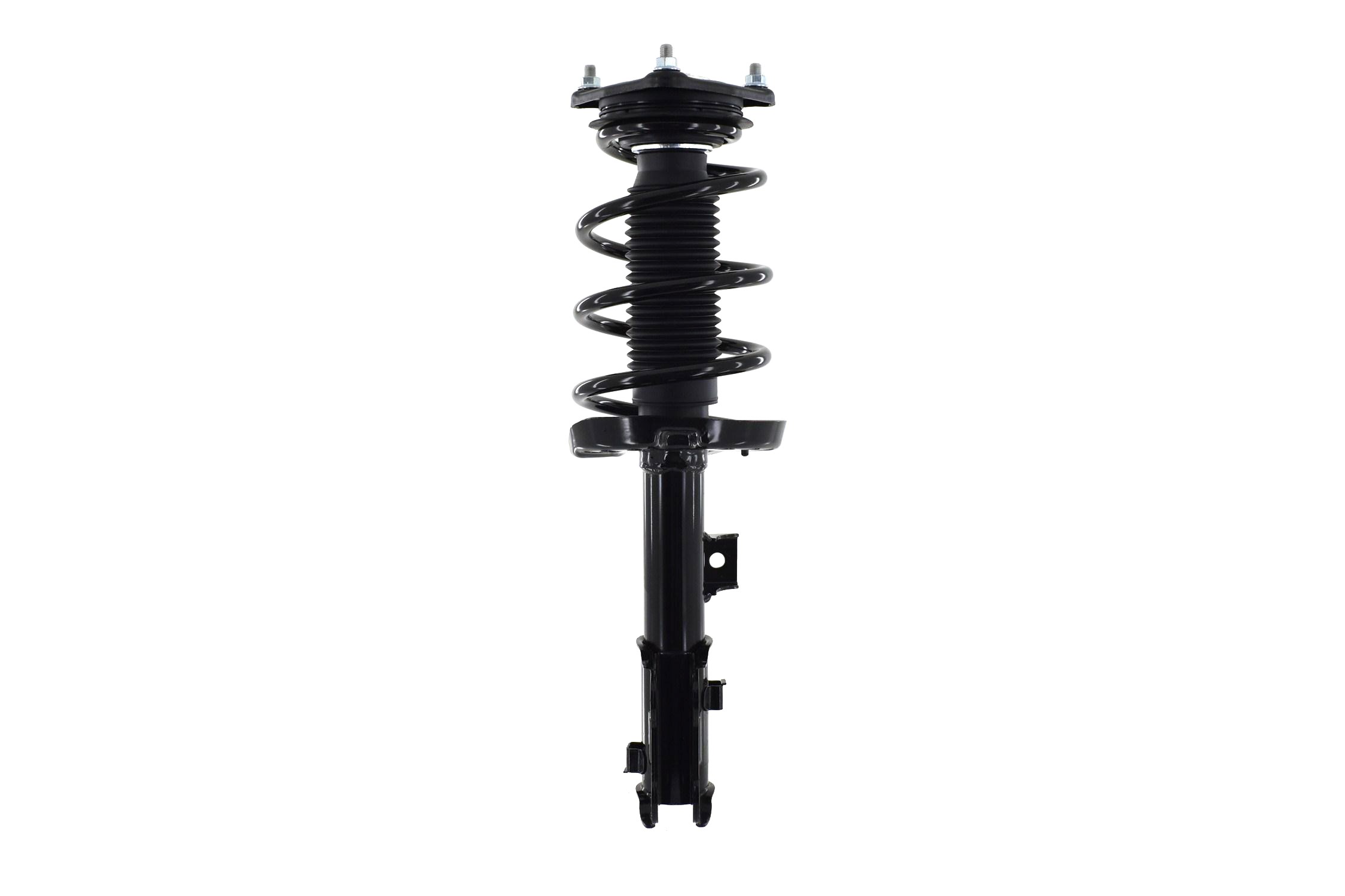 Suspension Strut and Coil Spring Assembly