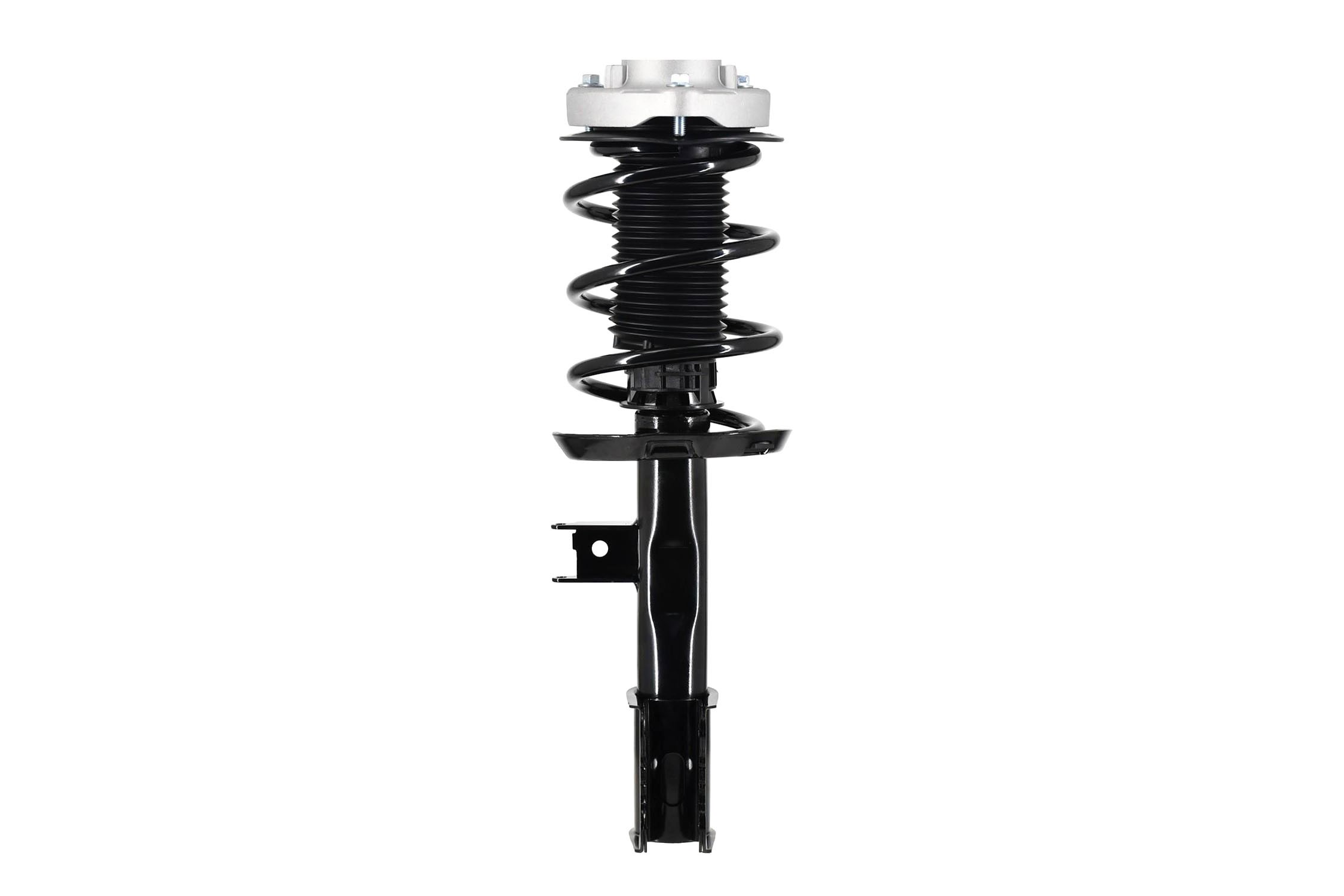 Suspension Strut and Coil Spring Assembly