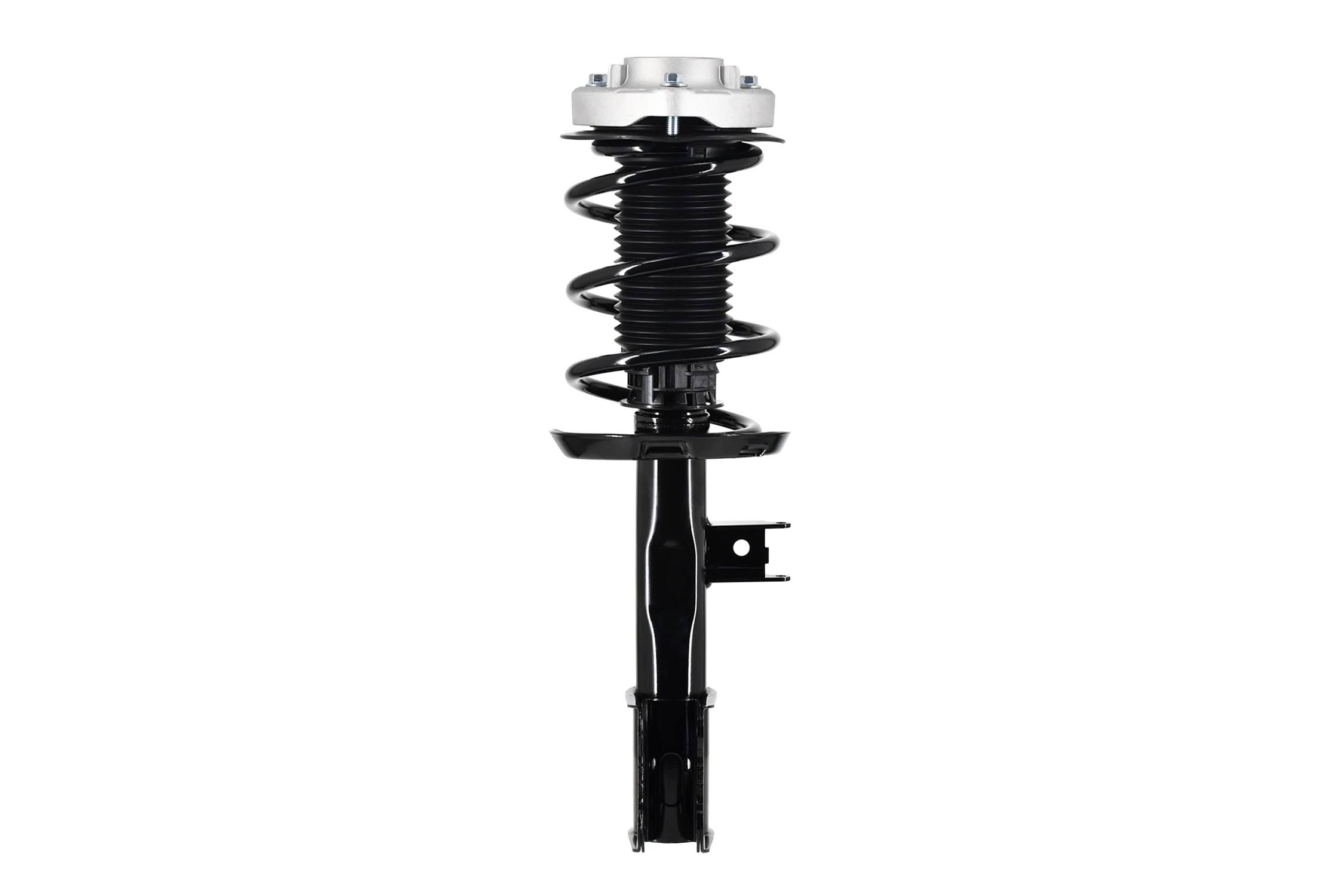 Suspension Strut and Coil Spring Assembly