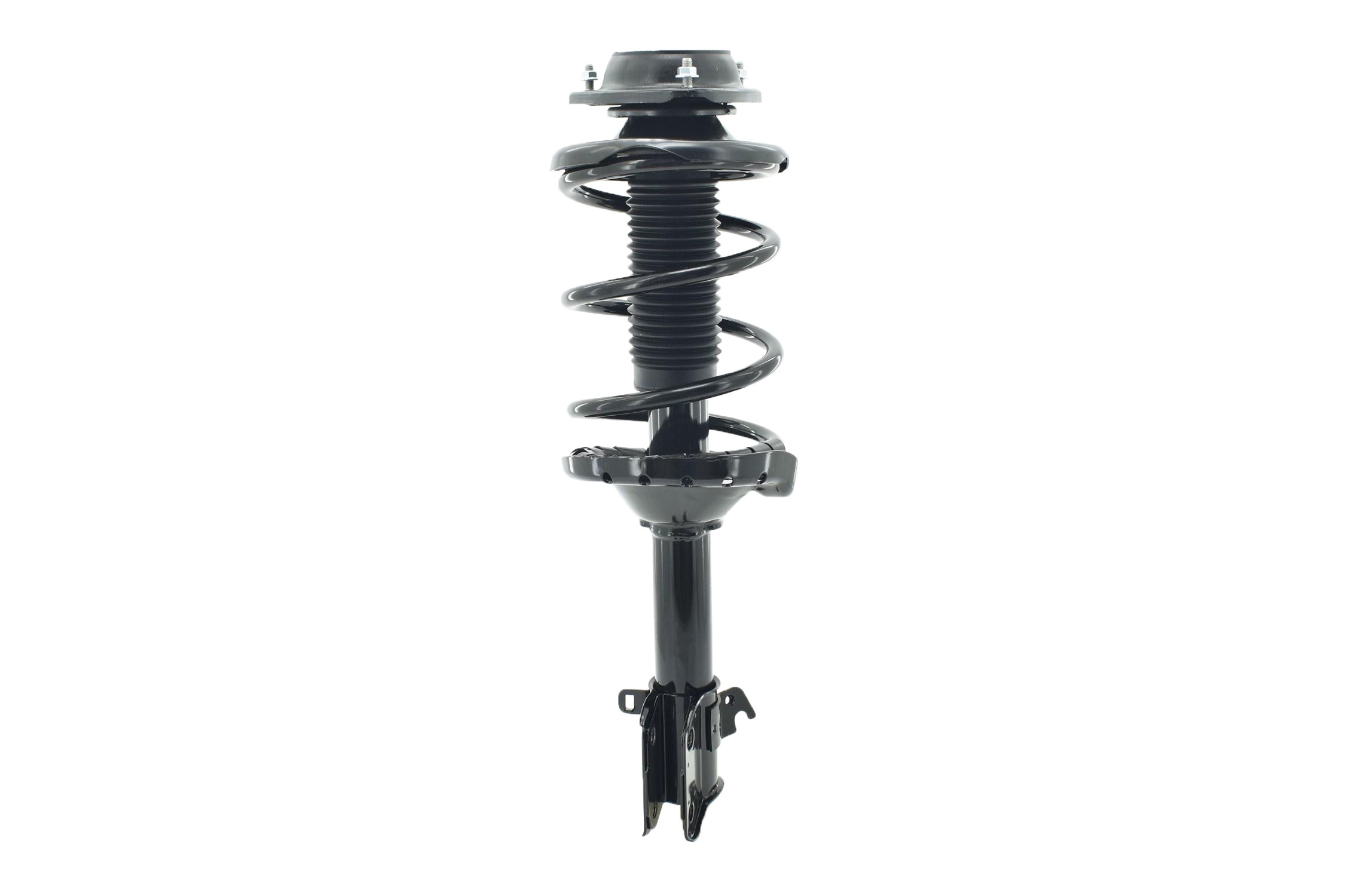 Suspension Strut and Coil Spring Assembly