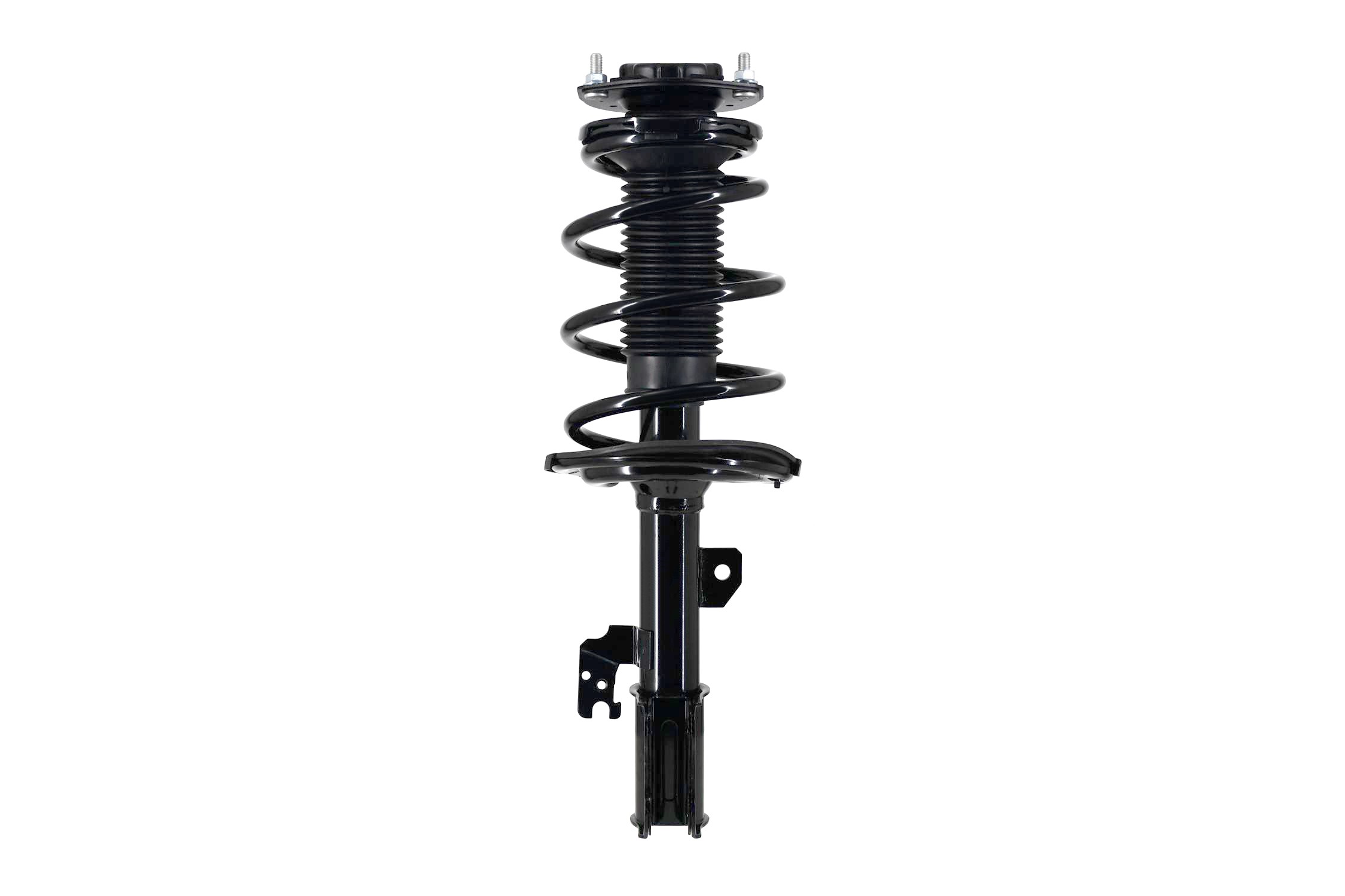 Suspension Strut and Coil Spring Assembly