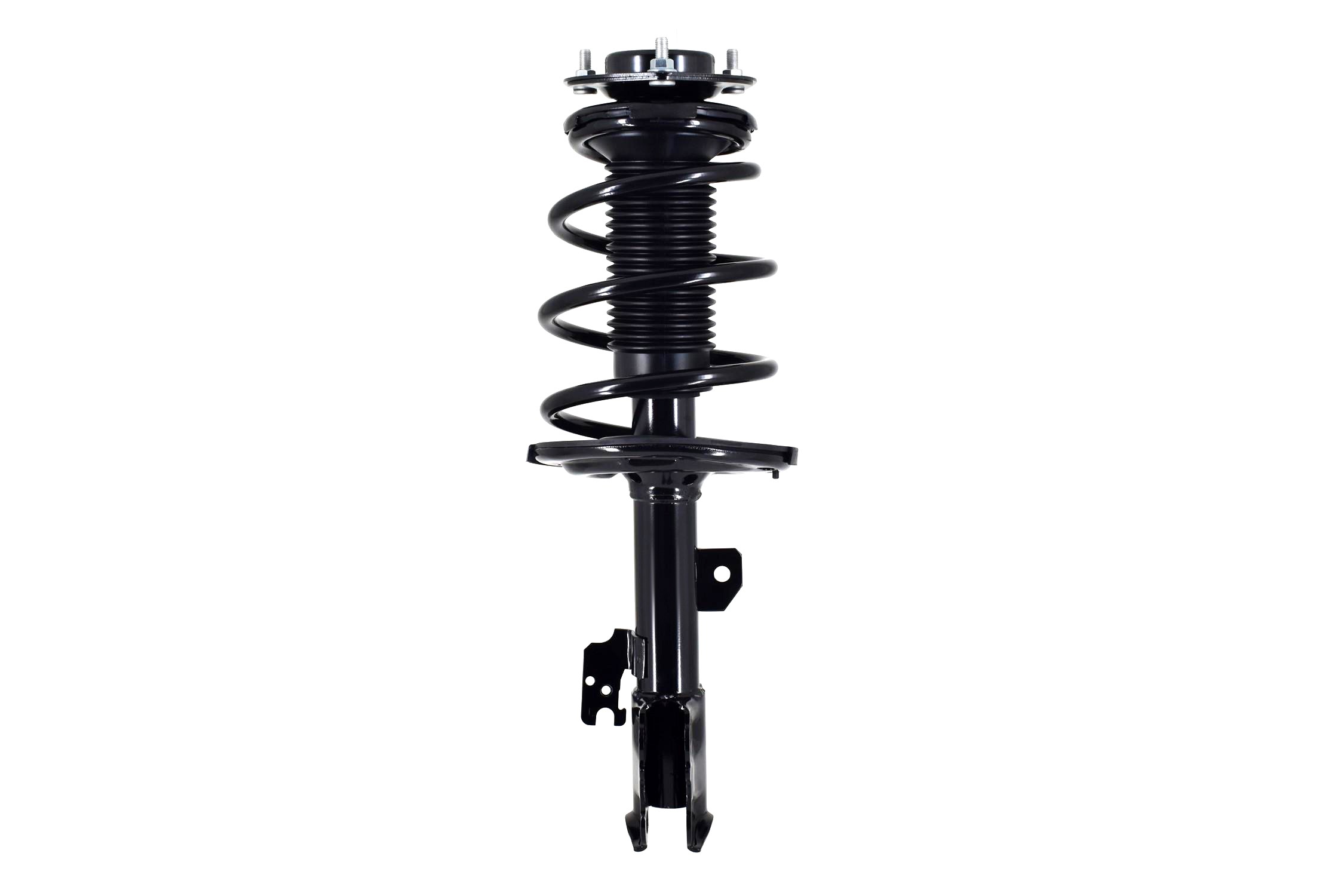 Suspension Strut and Coil Spring Assembly