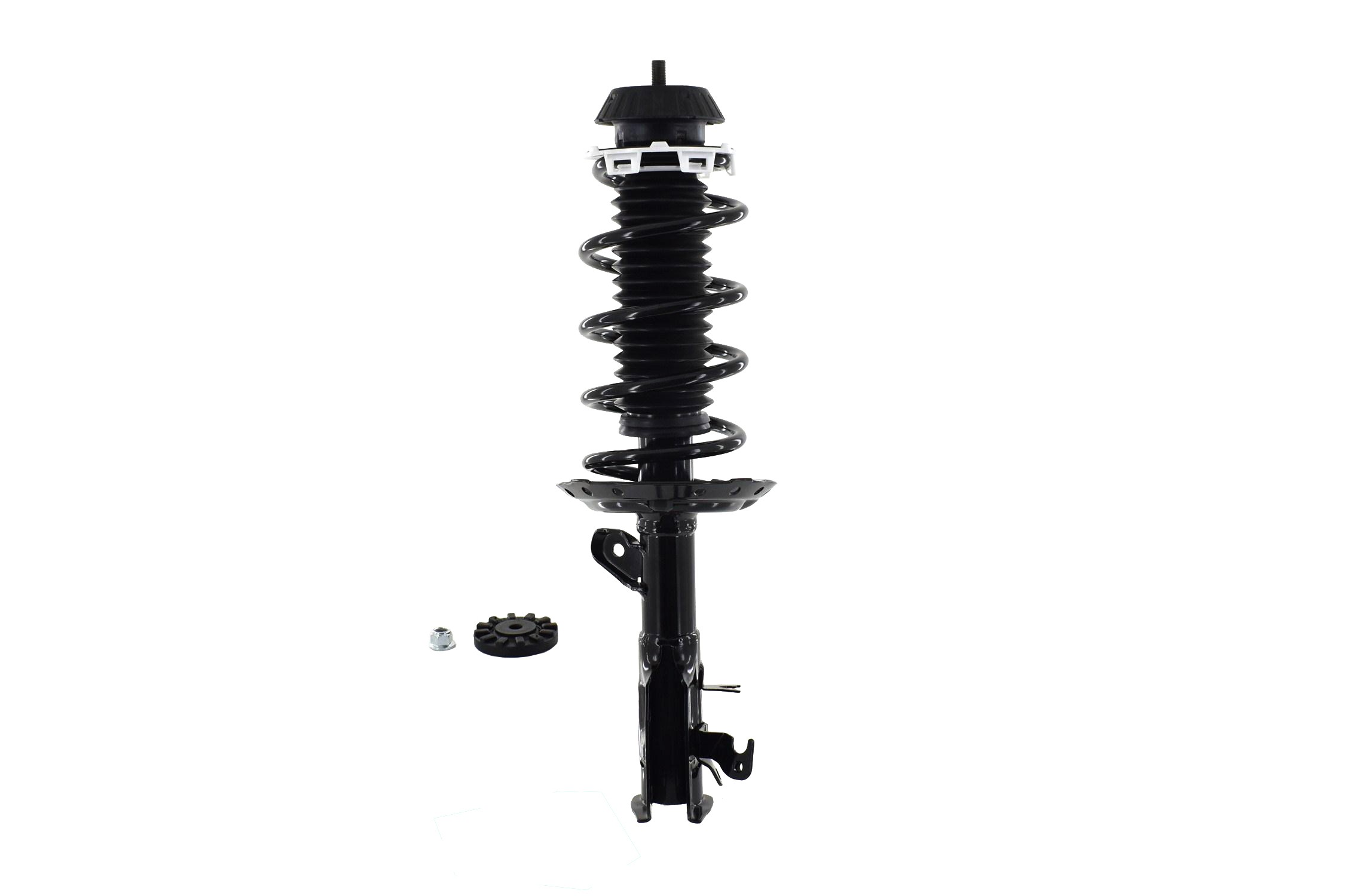Suspension Strut and Coil Spring Assembly