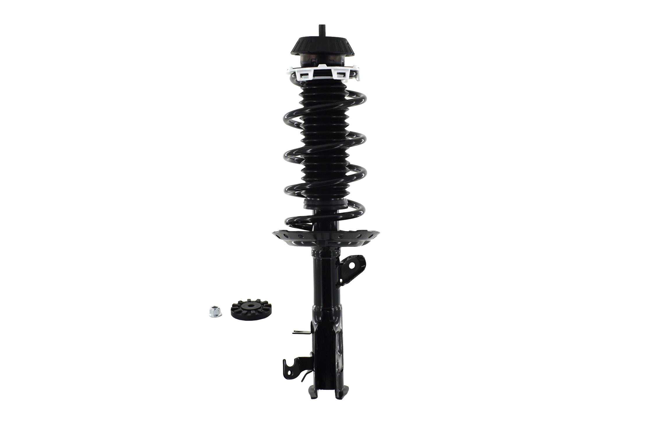Suspension Strut and Coil Spring Assembly