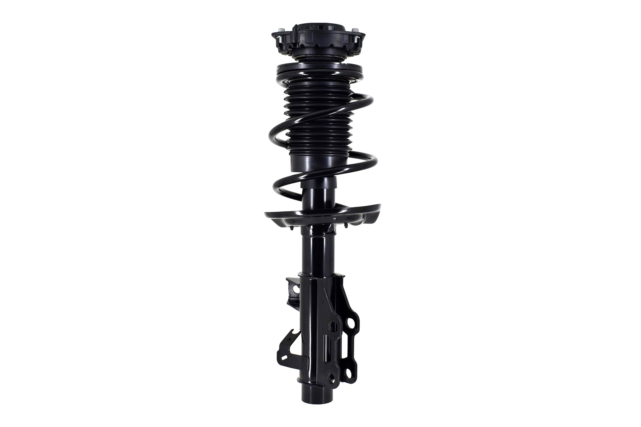Suspension Strut and Coil Spring Assembly