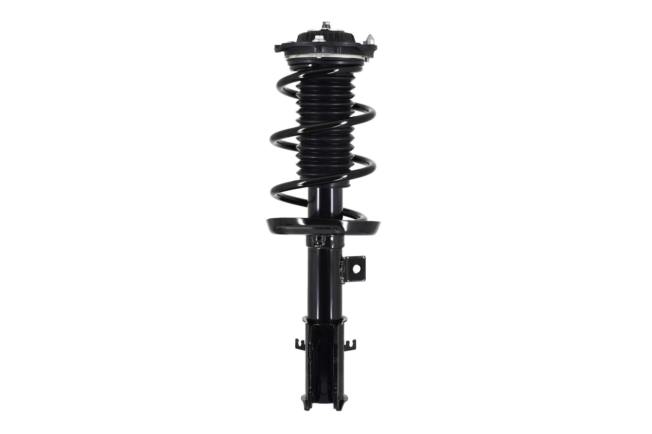 Suspension Strut and Coil Spring Assembly