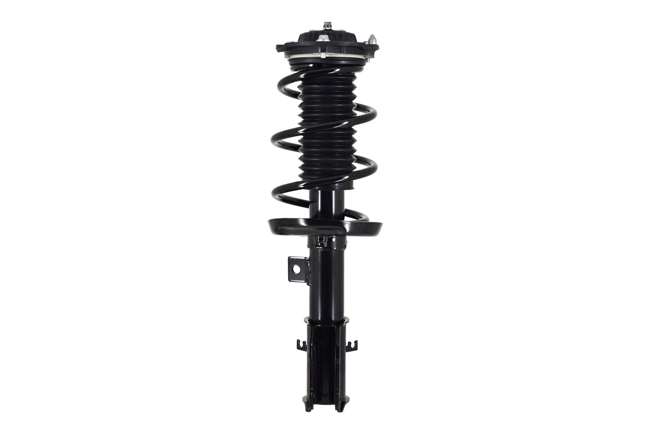 Suspension Strut and Coil Spring Assembly