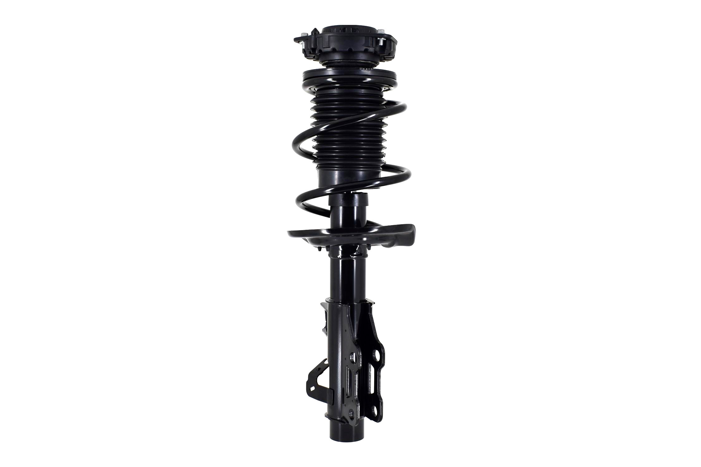 Suspension Strut and Coil Spring Assembly