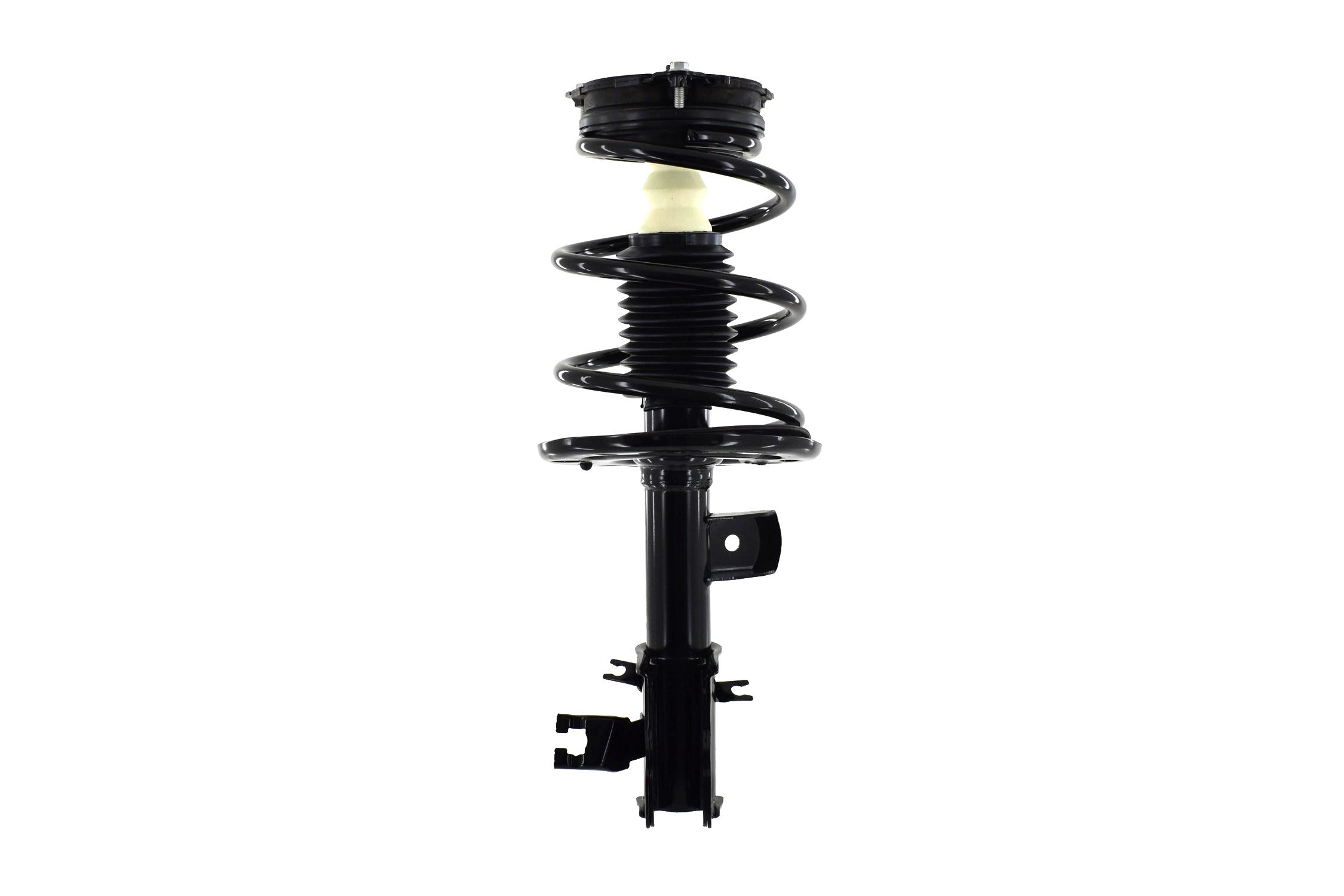 Suspension Strut and Coil Spring Assembly