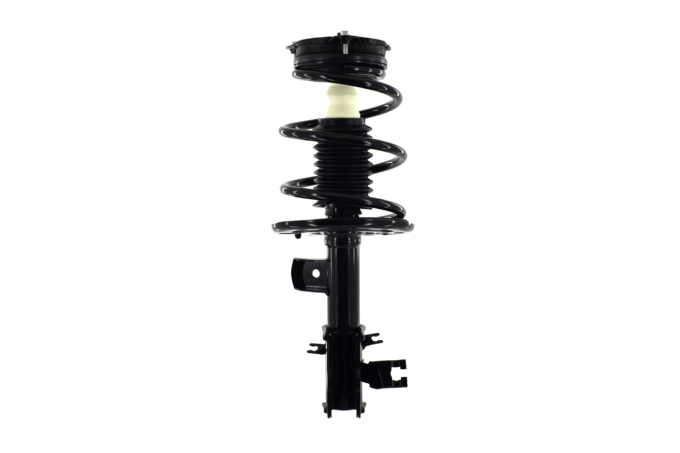Suspension Strut and Coil Spring Assembly