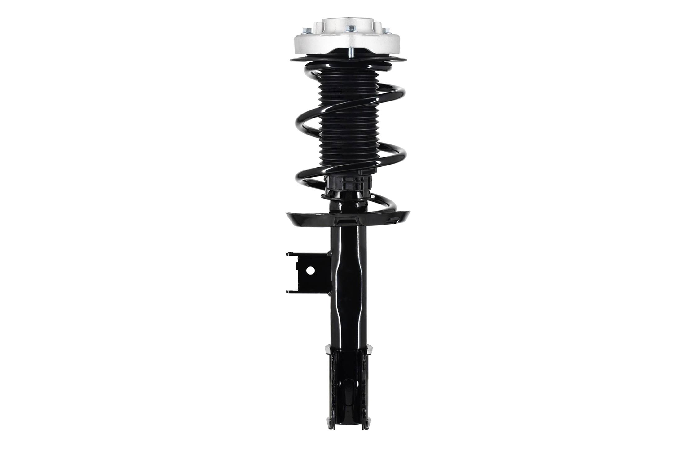 Suspension Strut and Coil Spring Assembly