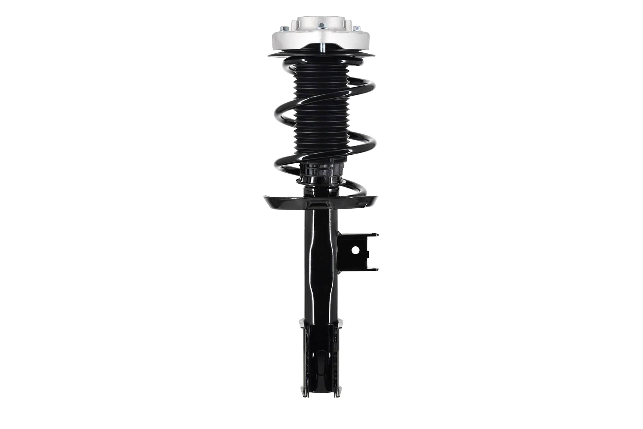 Suspension Strut and Coil Spring Assembly