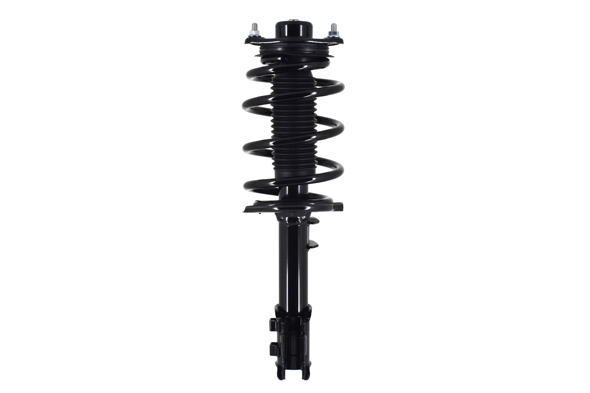 Suspension Strut and Coil Spring Assembly