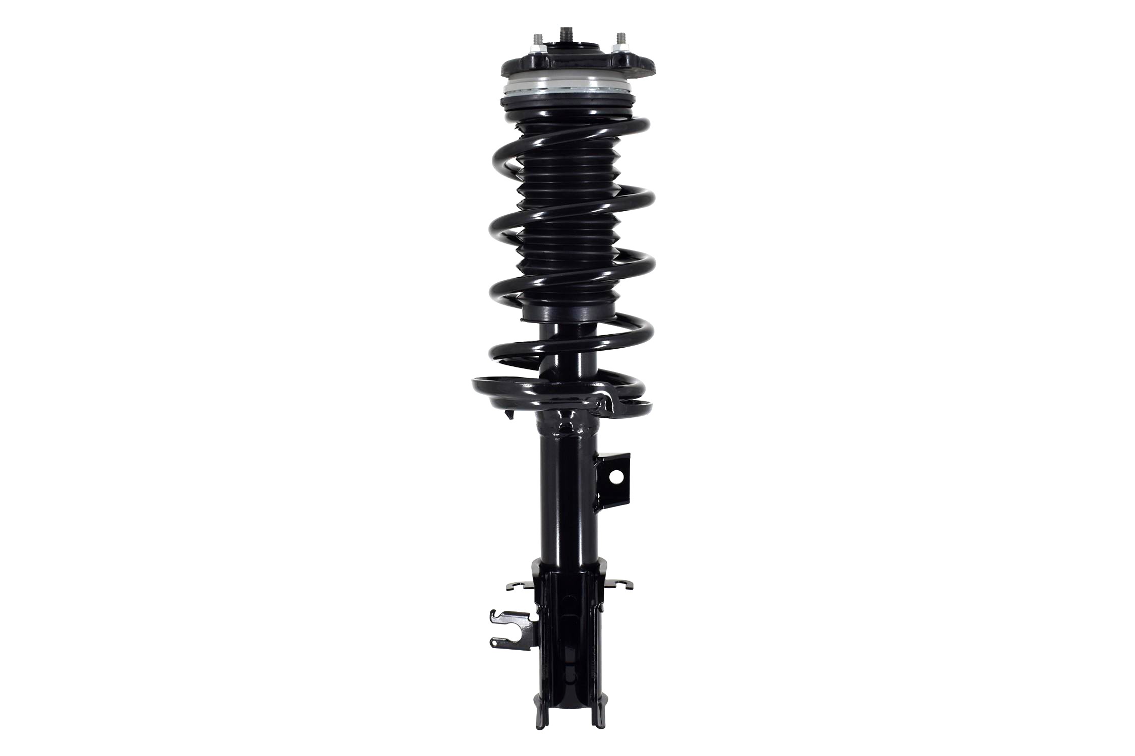 Suspension Strut and Coil Spring Assembly