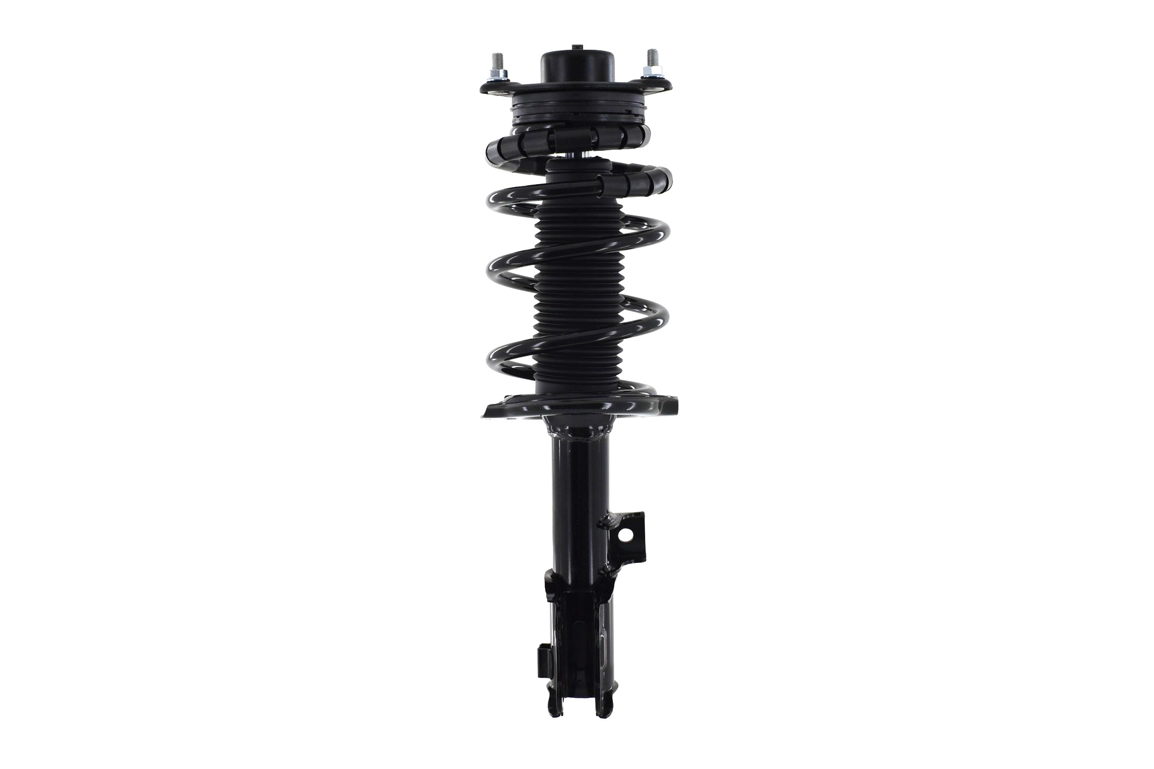 Suspension Strut and Coil Spring Assembly