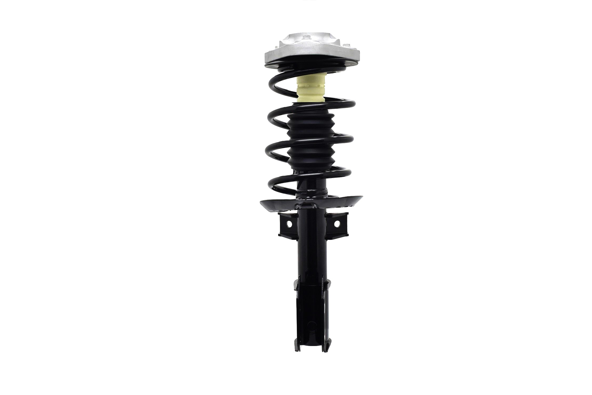 Suspension Strut and Coil Spring Assembly