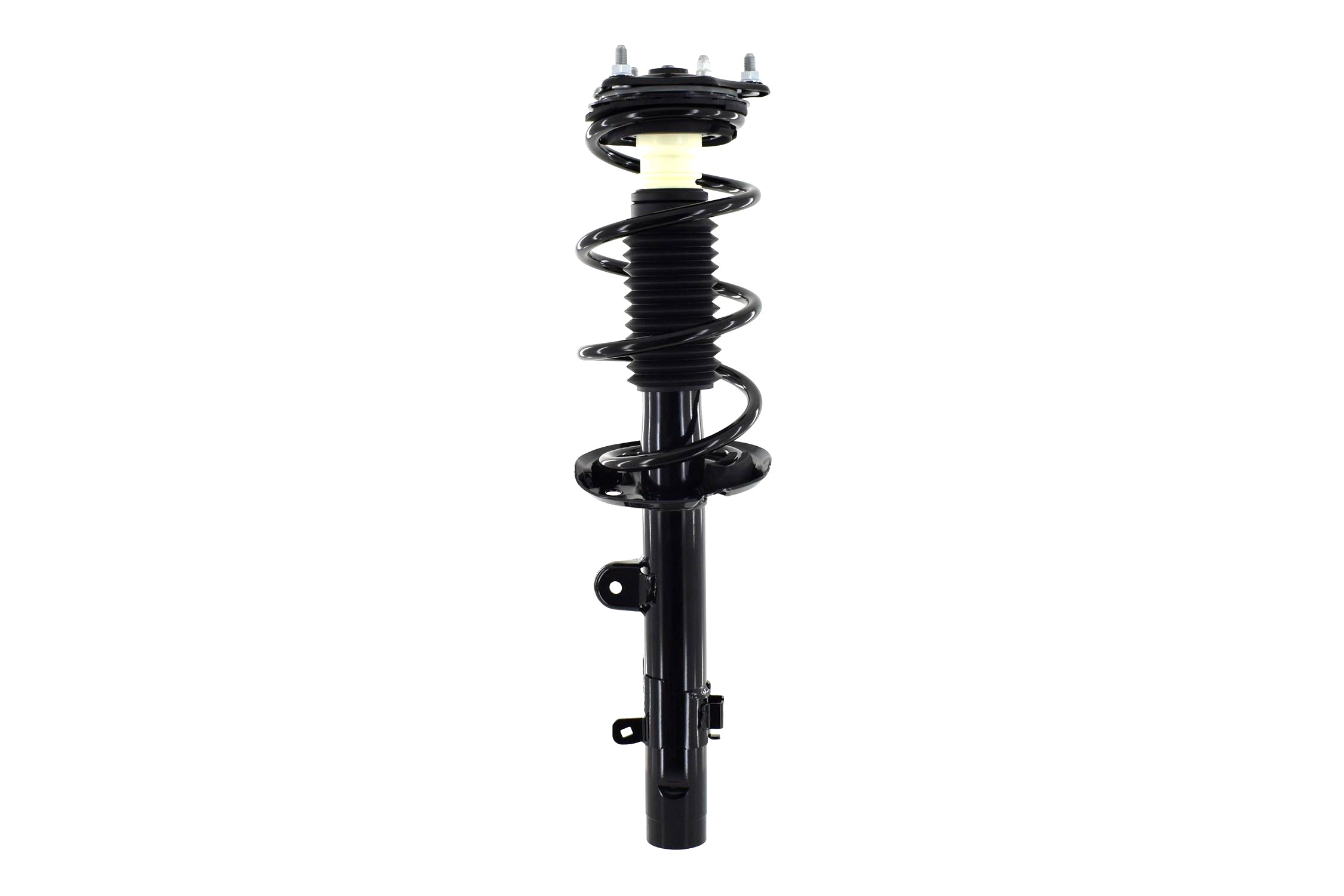 Suspension Strut and Coil Spring Assembly