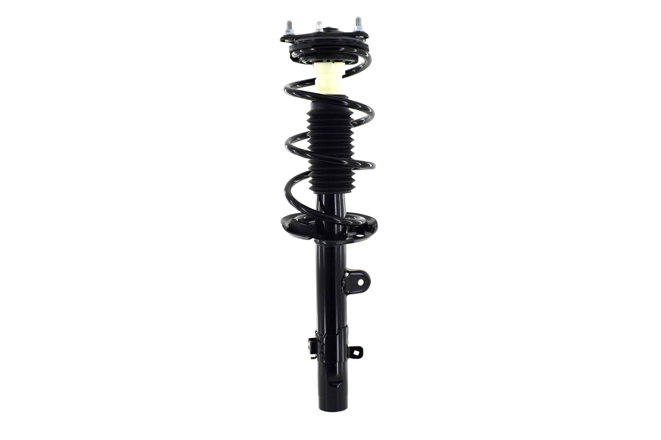 Suspension Strut and Coil Spring Assembly