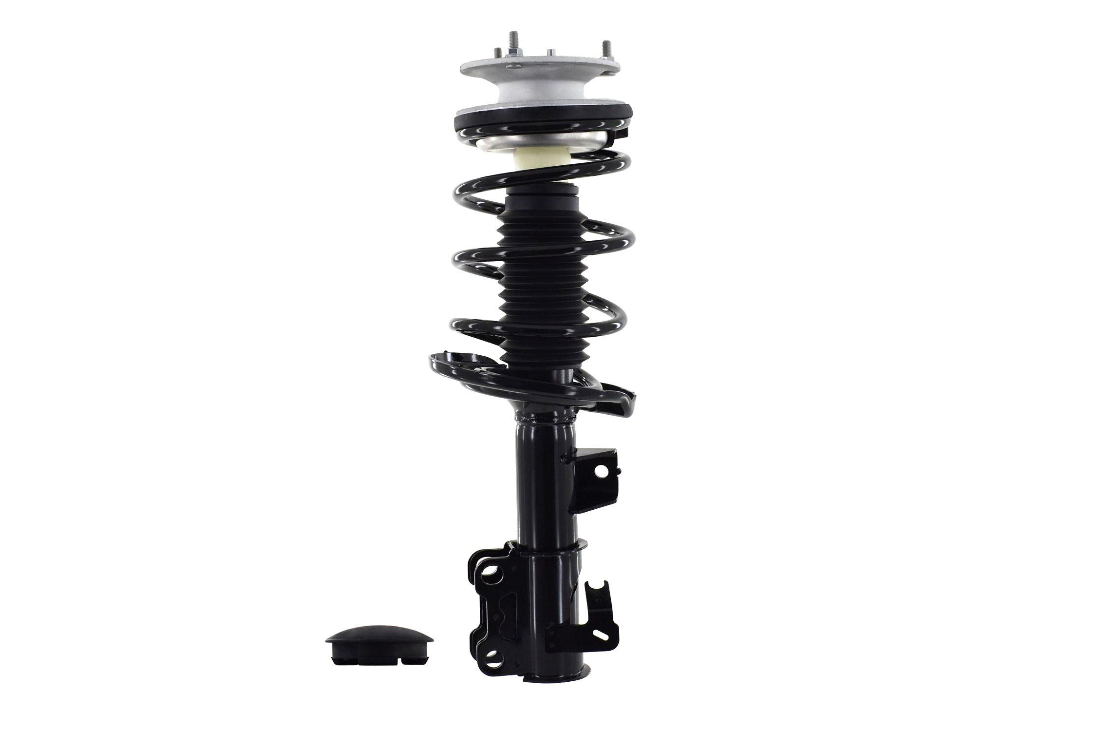 Suspension Strut and Coil Spring Assembly