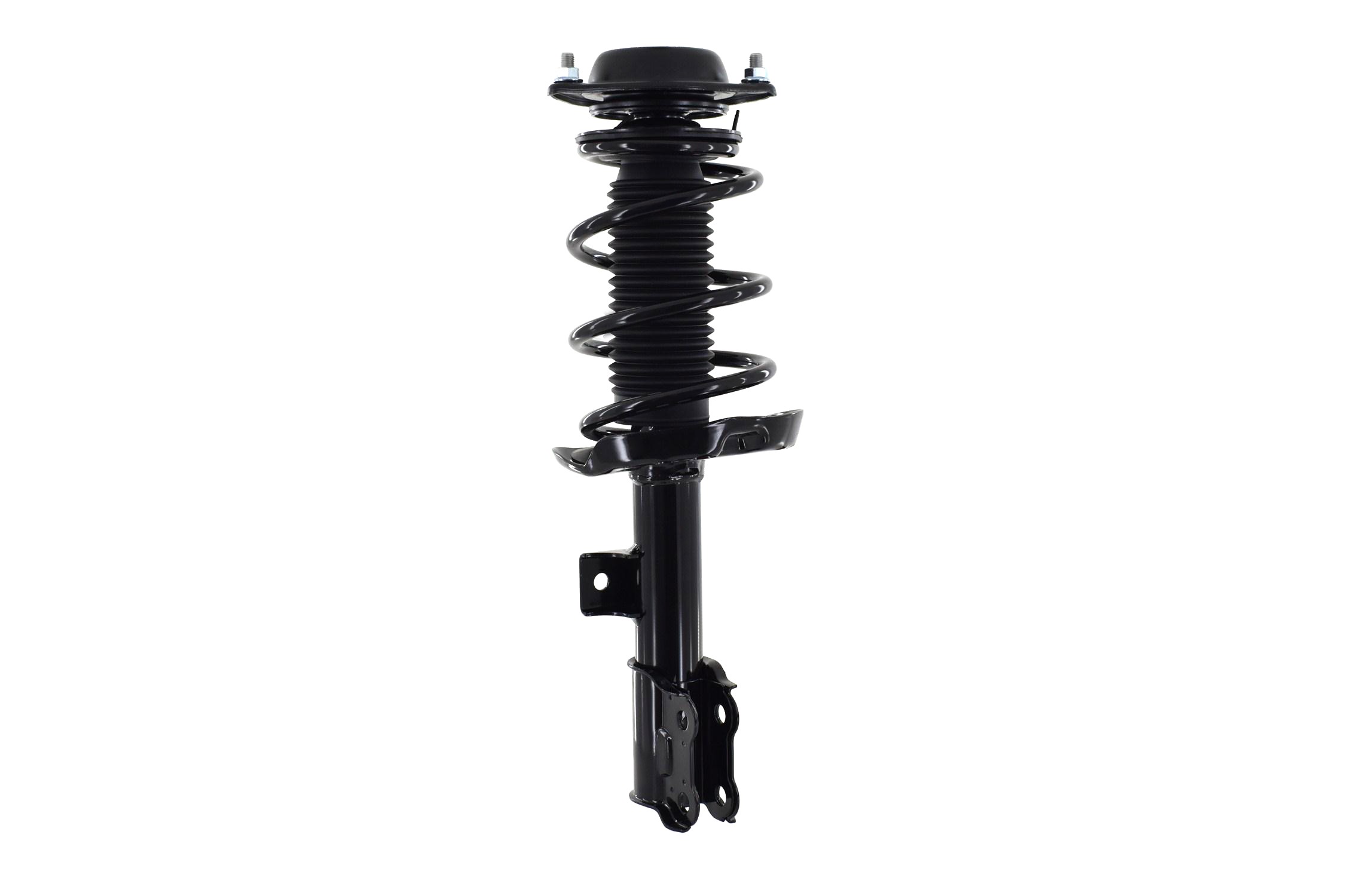 Suspension Strut and Coil Spring Assembly