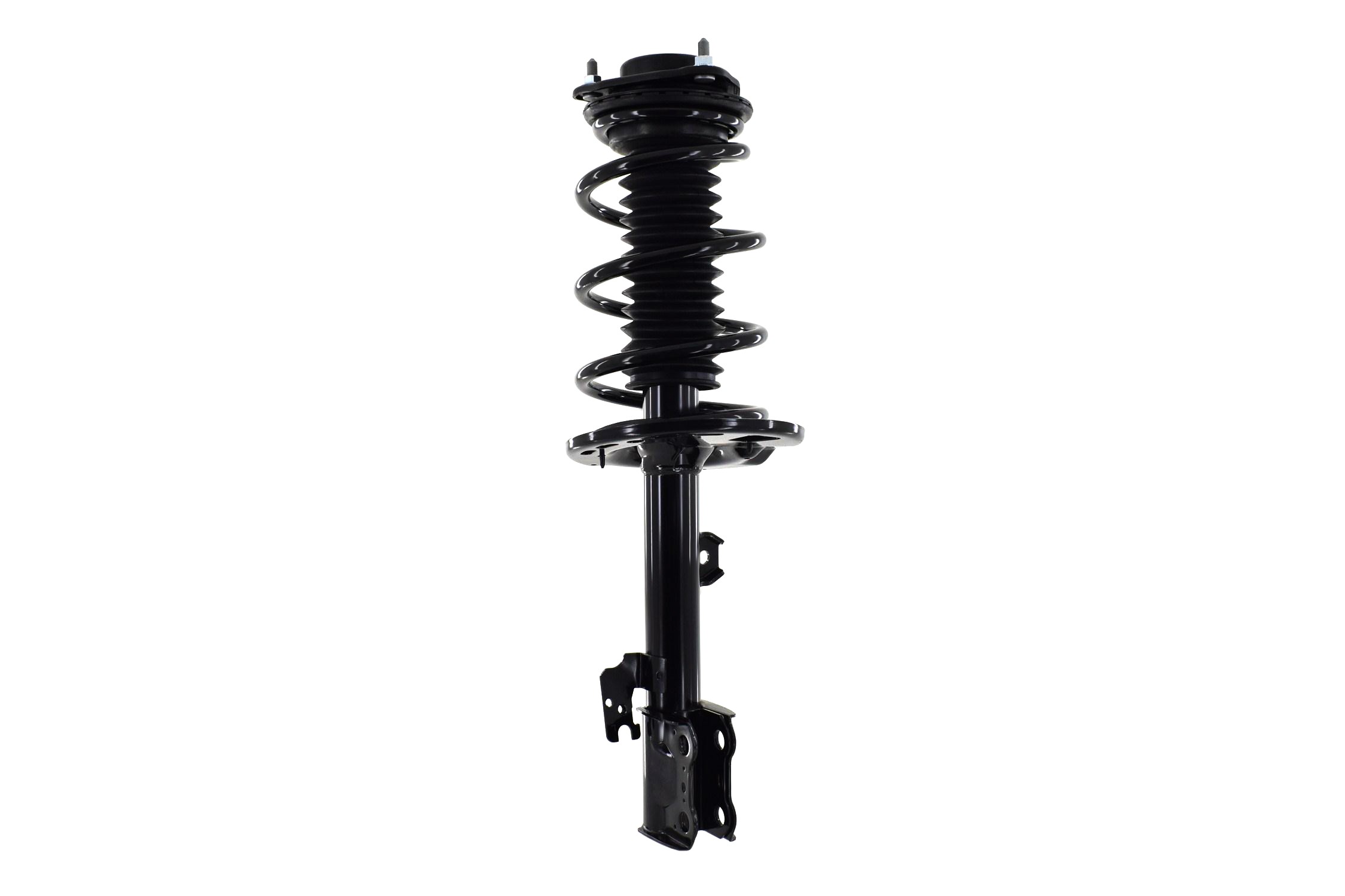 Suspension Strut and Coil Spring Assembly