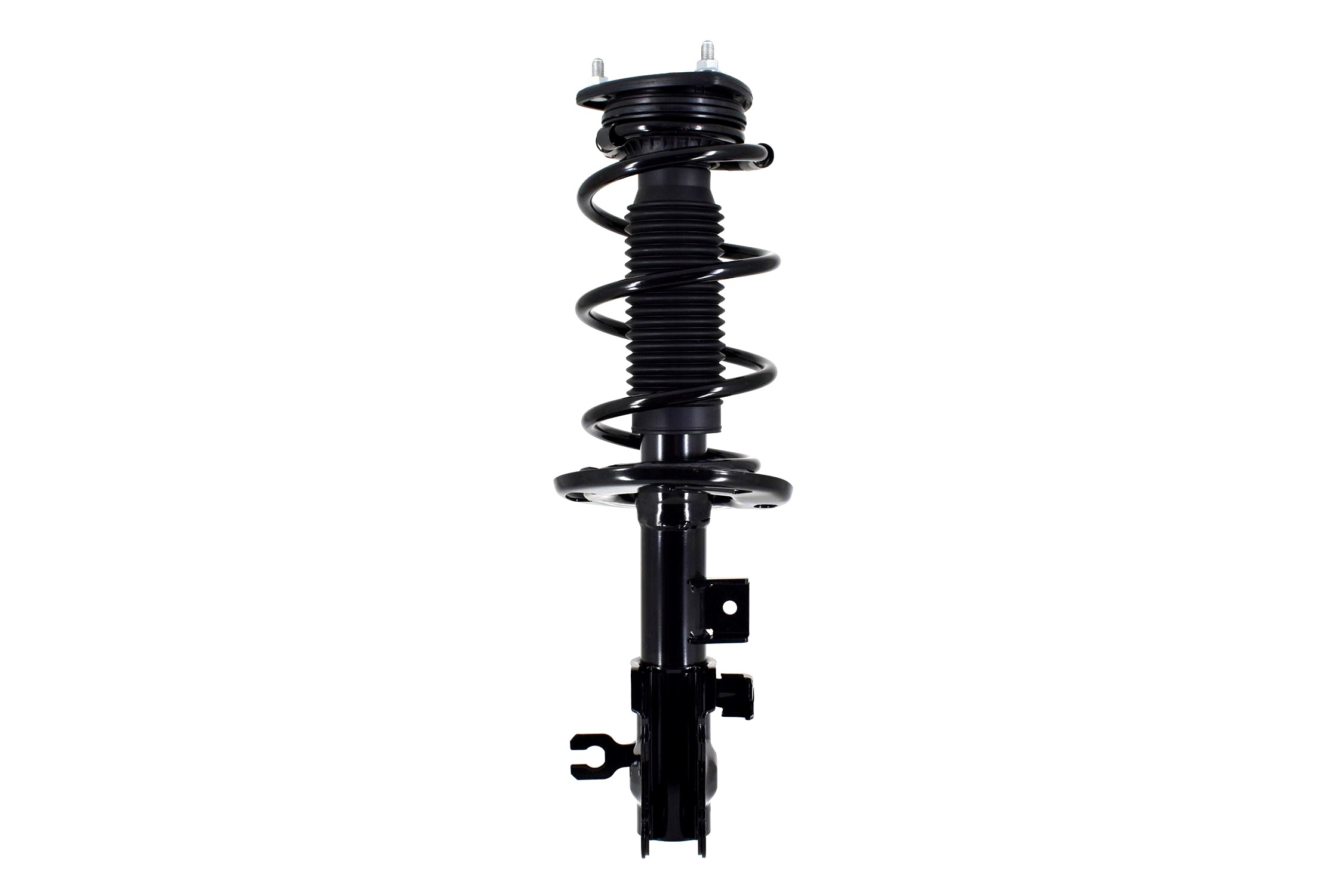 Suspension Strut and Coil Spring Assembly