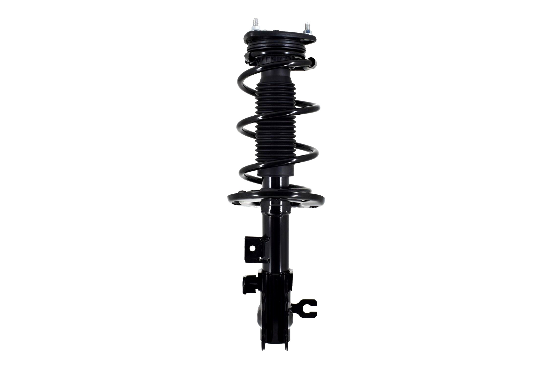 Suspension Strut and Coil Spring Assembly