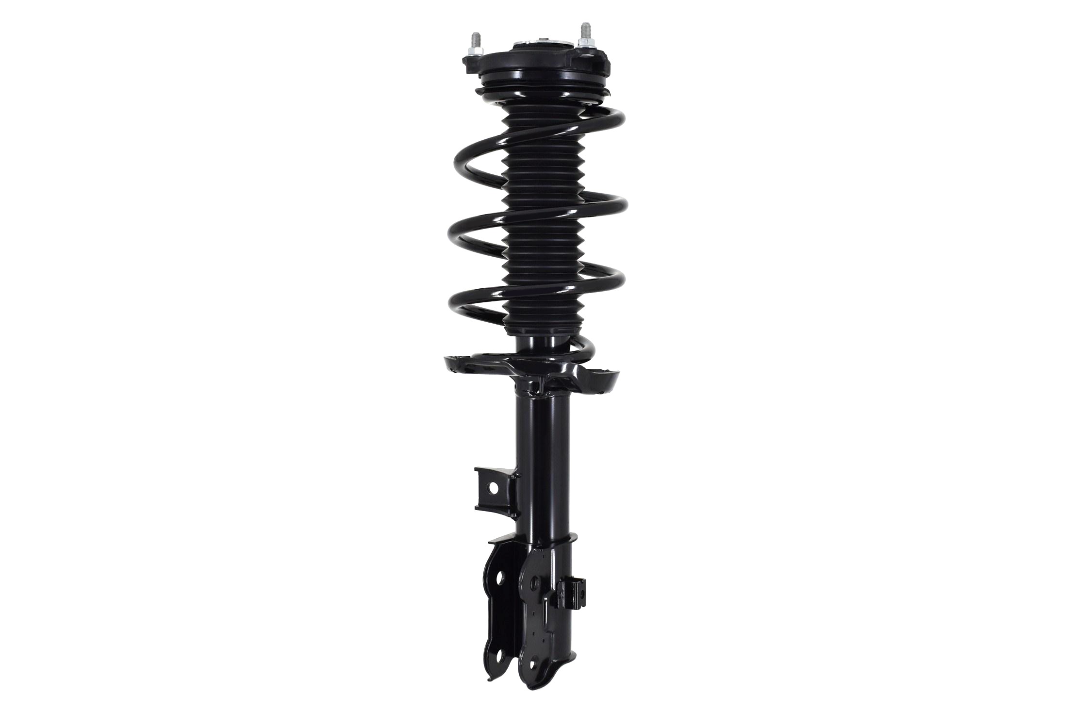 Suspension Strut and Coil Spring Assembly