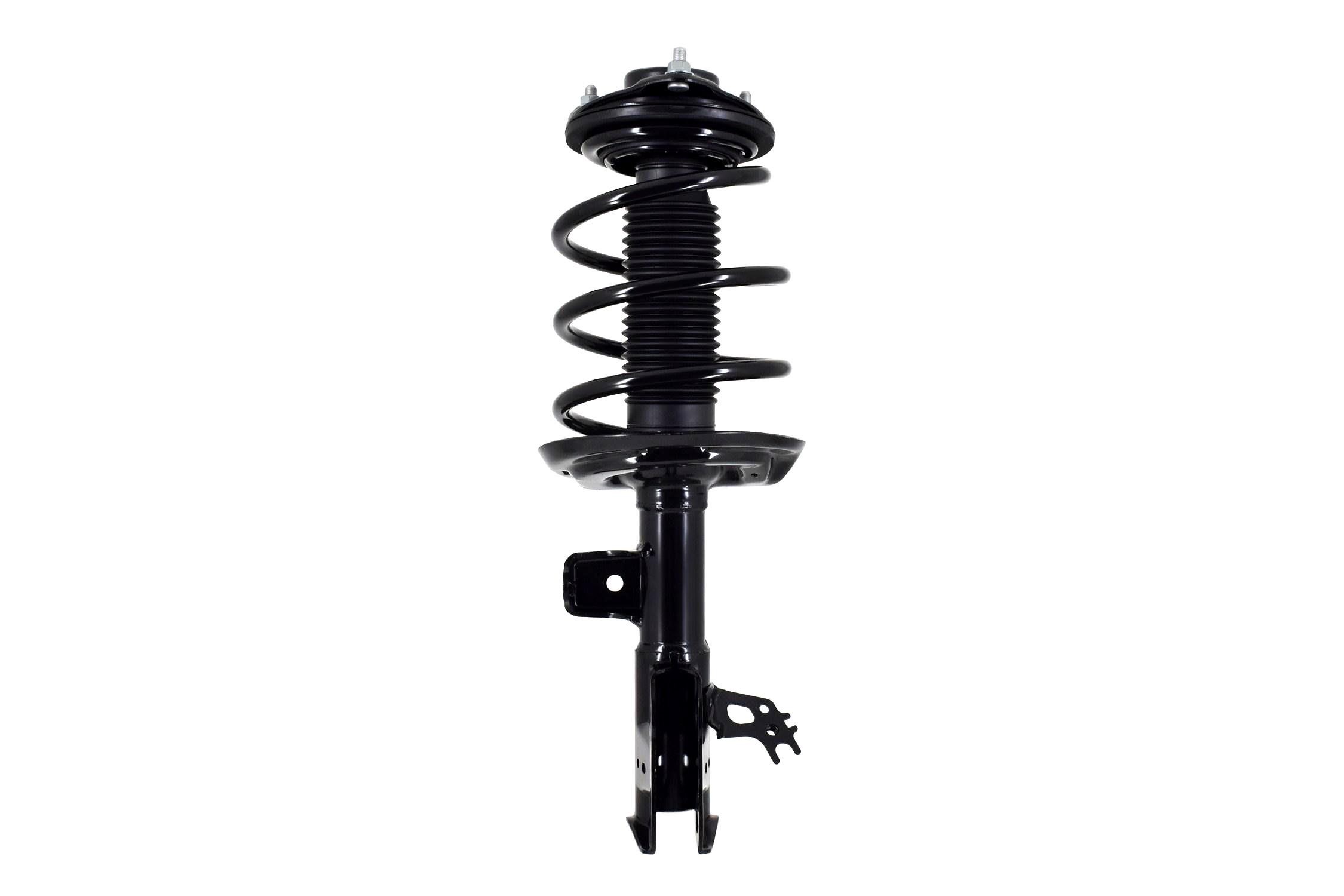 Suspension Strut and Coil Spring Assembly