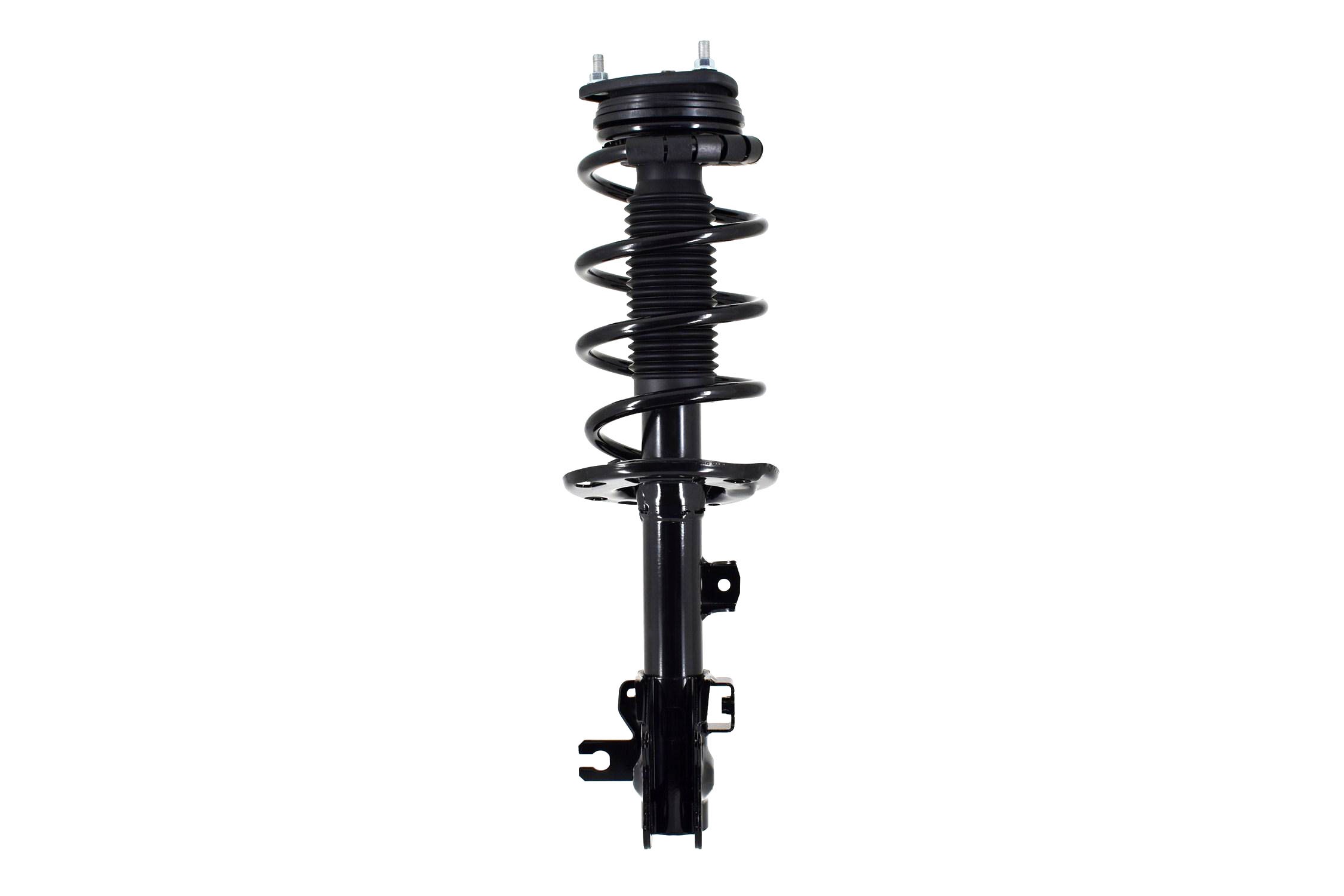 Suspension Strut and Coil Spring Assembly